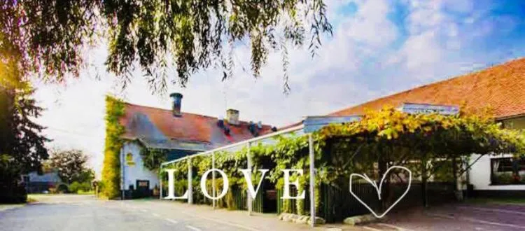 Restaurant/places to eat in Hotel Strk