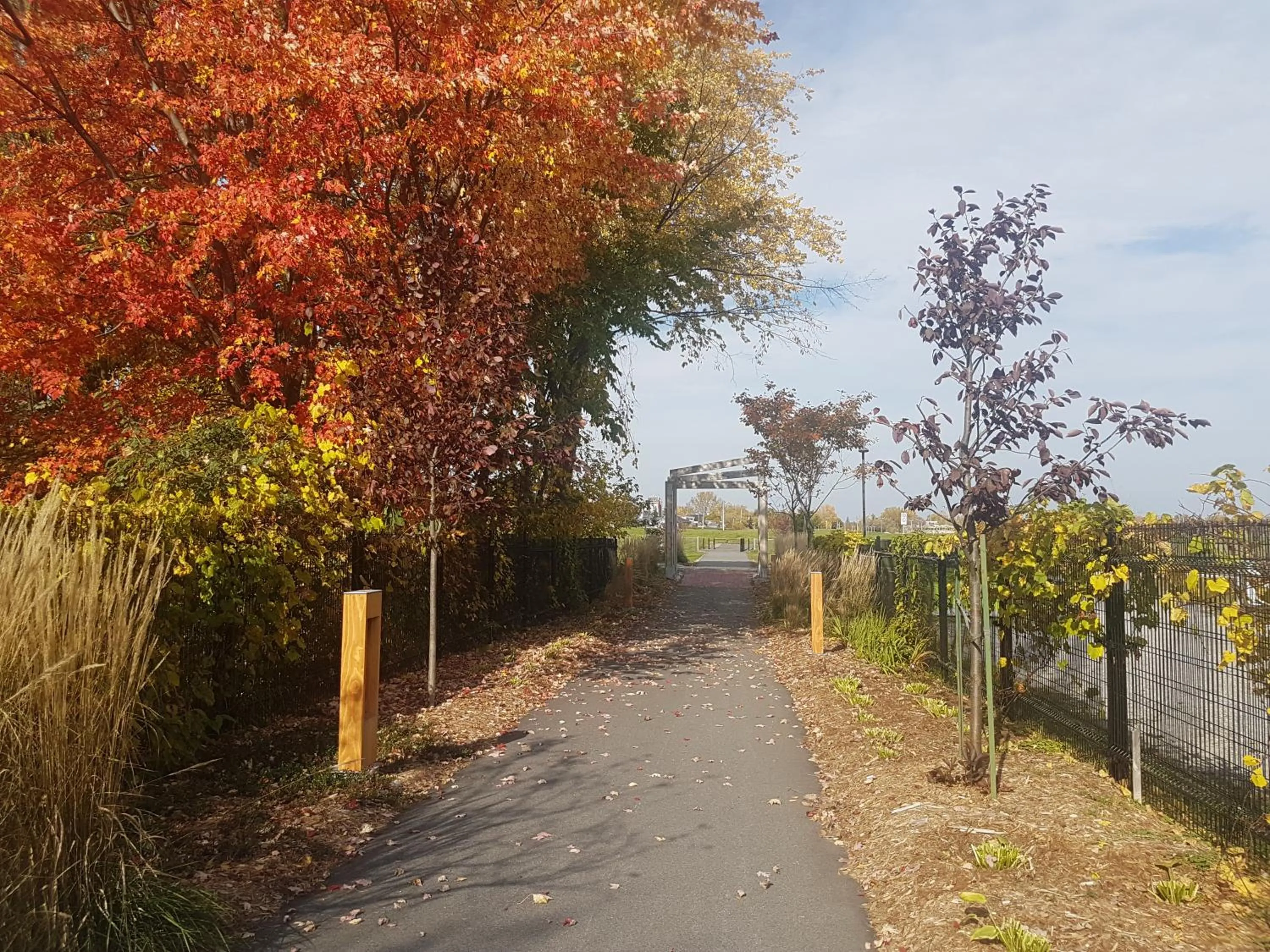 Cozy 1-Bedroom Suite #17 by Amazing Property Rentals