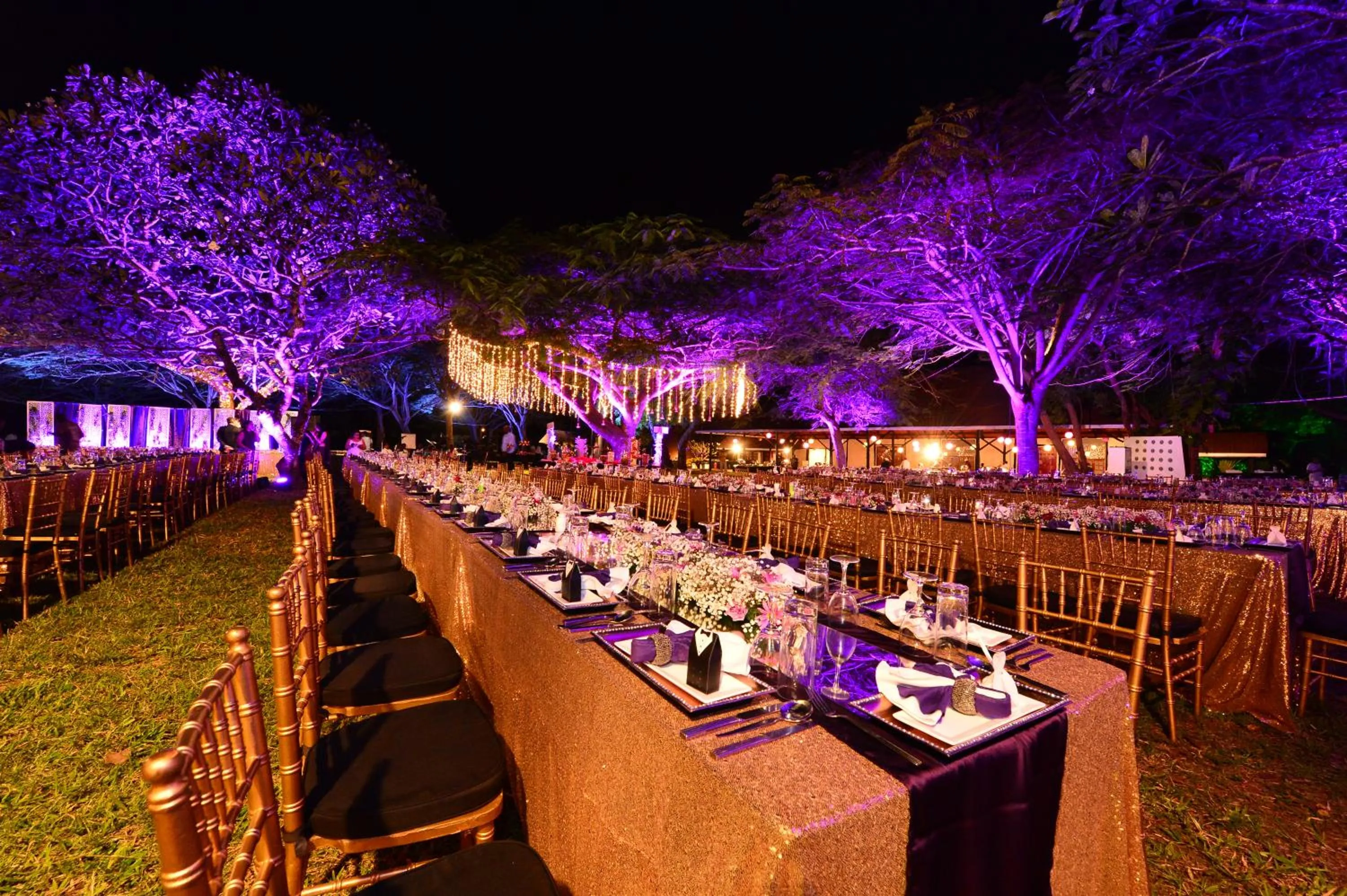 Night in Diani Reef Beach Resort & Spa - Your Beachfront Bliss Awaits