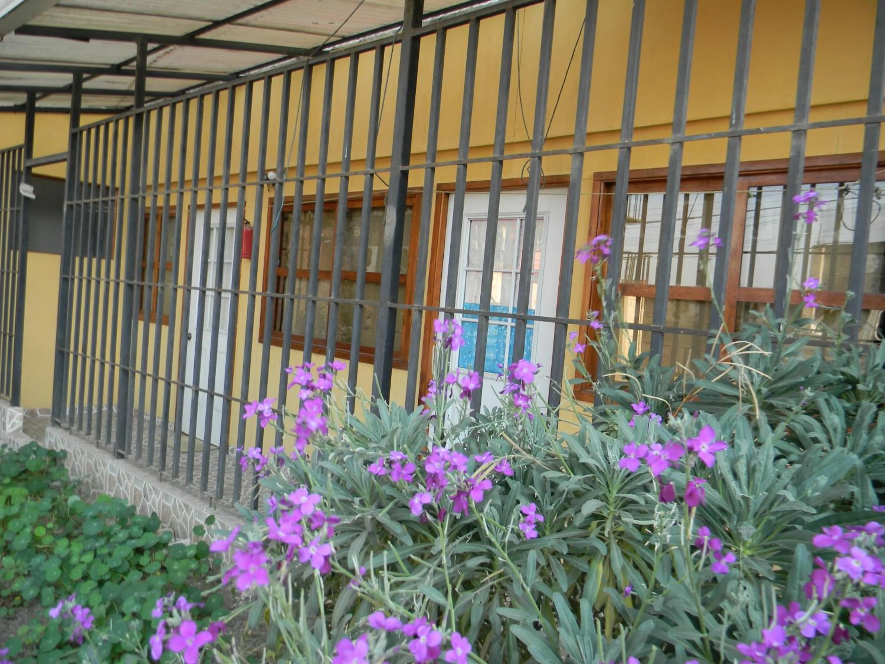 Apartment - Ground Floor in Casa Xelaju Apartments