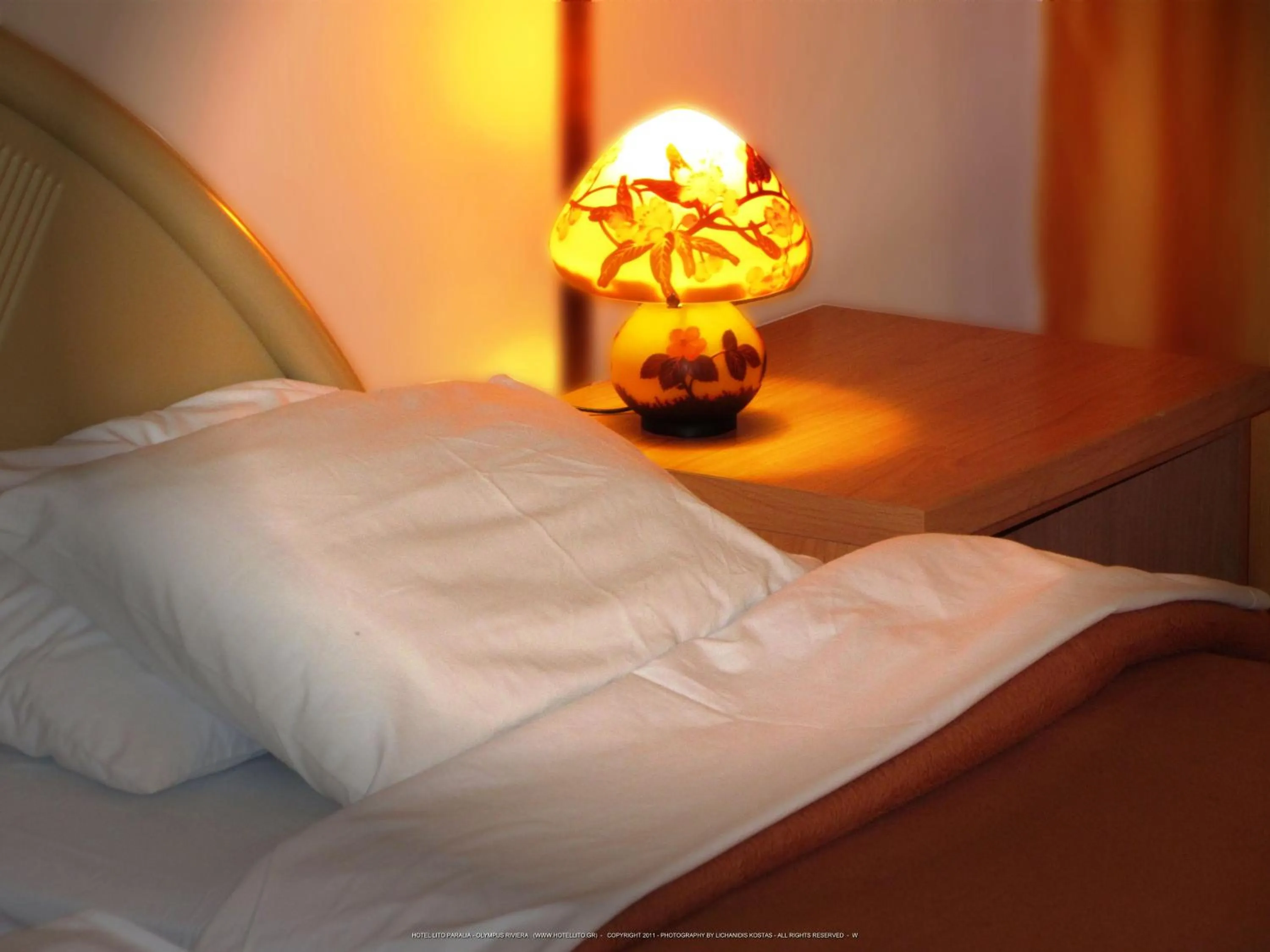 Decorative detail, Bed in Hotel Lito