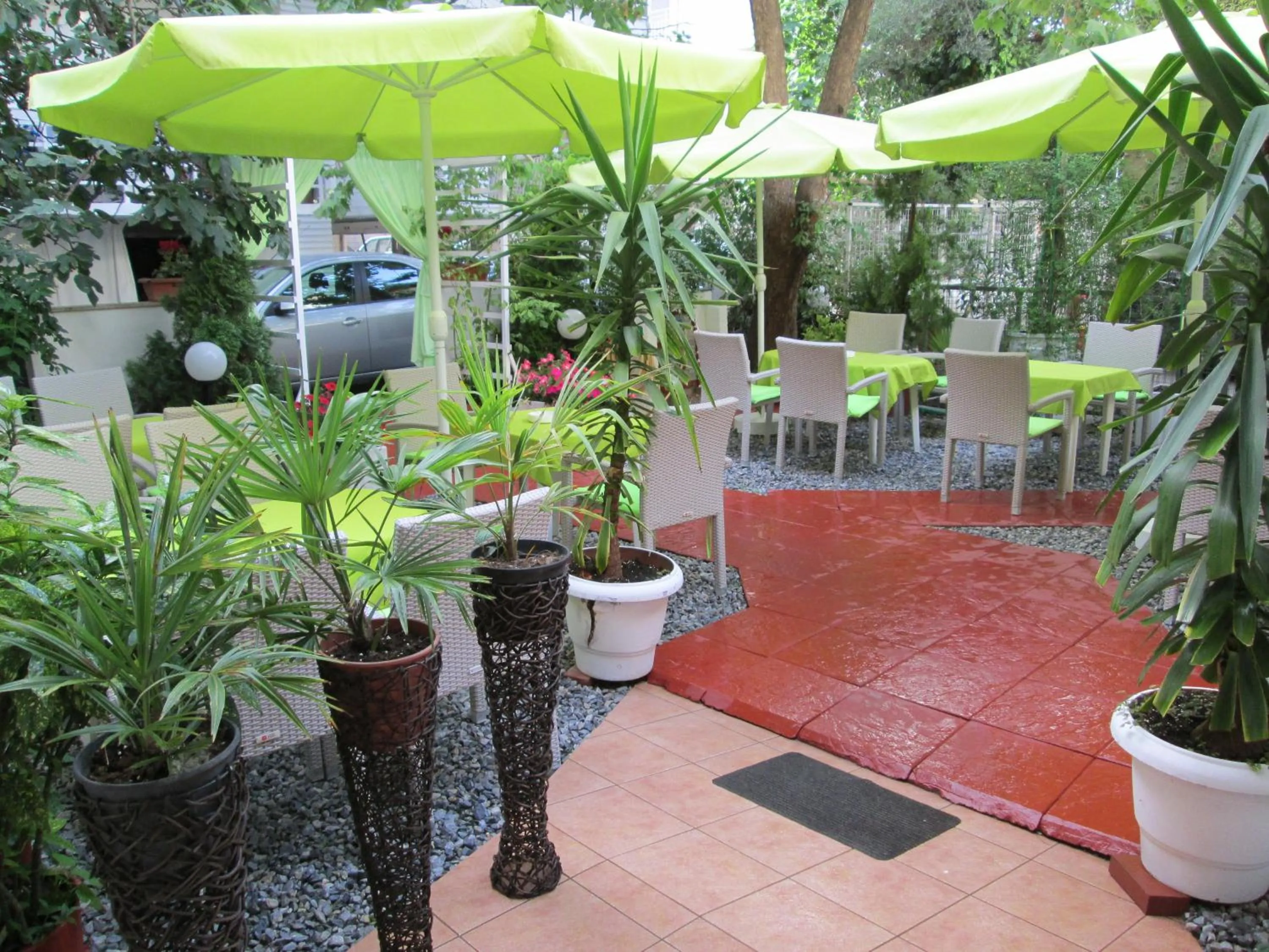 Garden in Hotel Lito