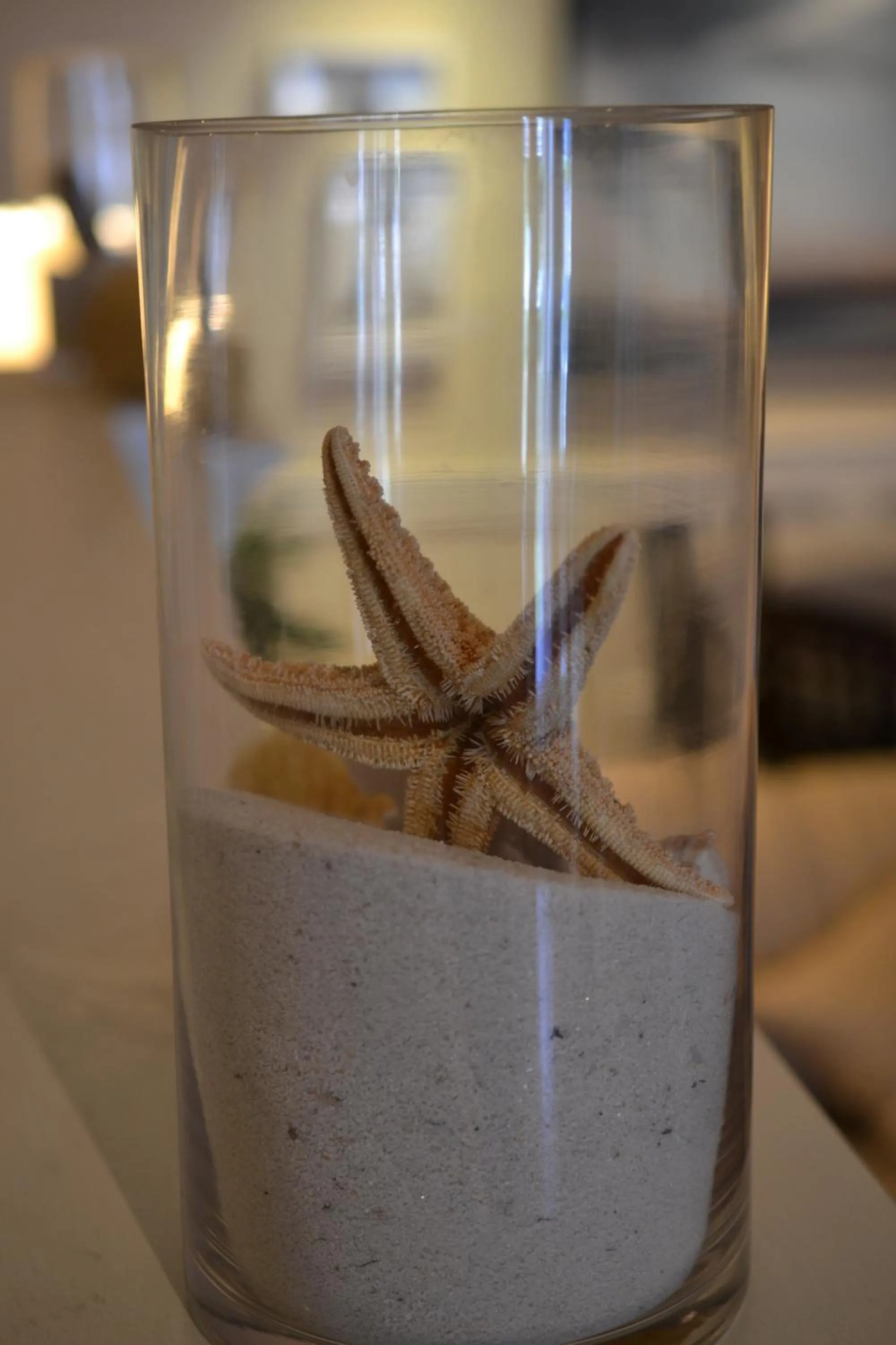 Day in Anchor Inn Beach House