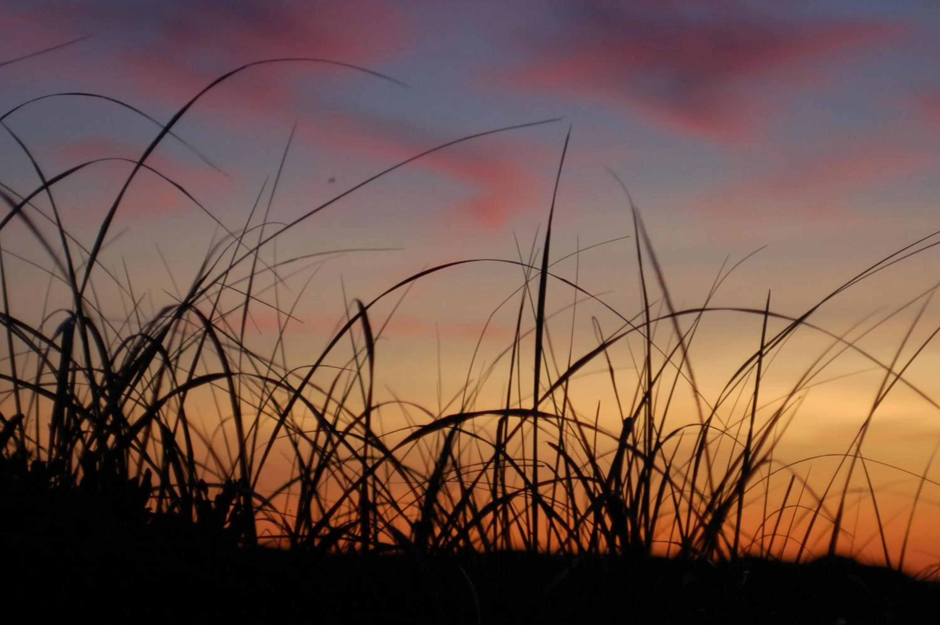 Spring in Anchor Inn Beach House