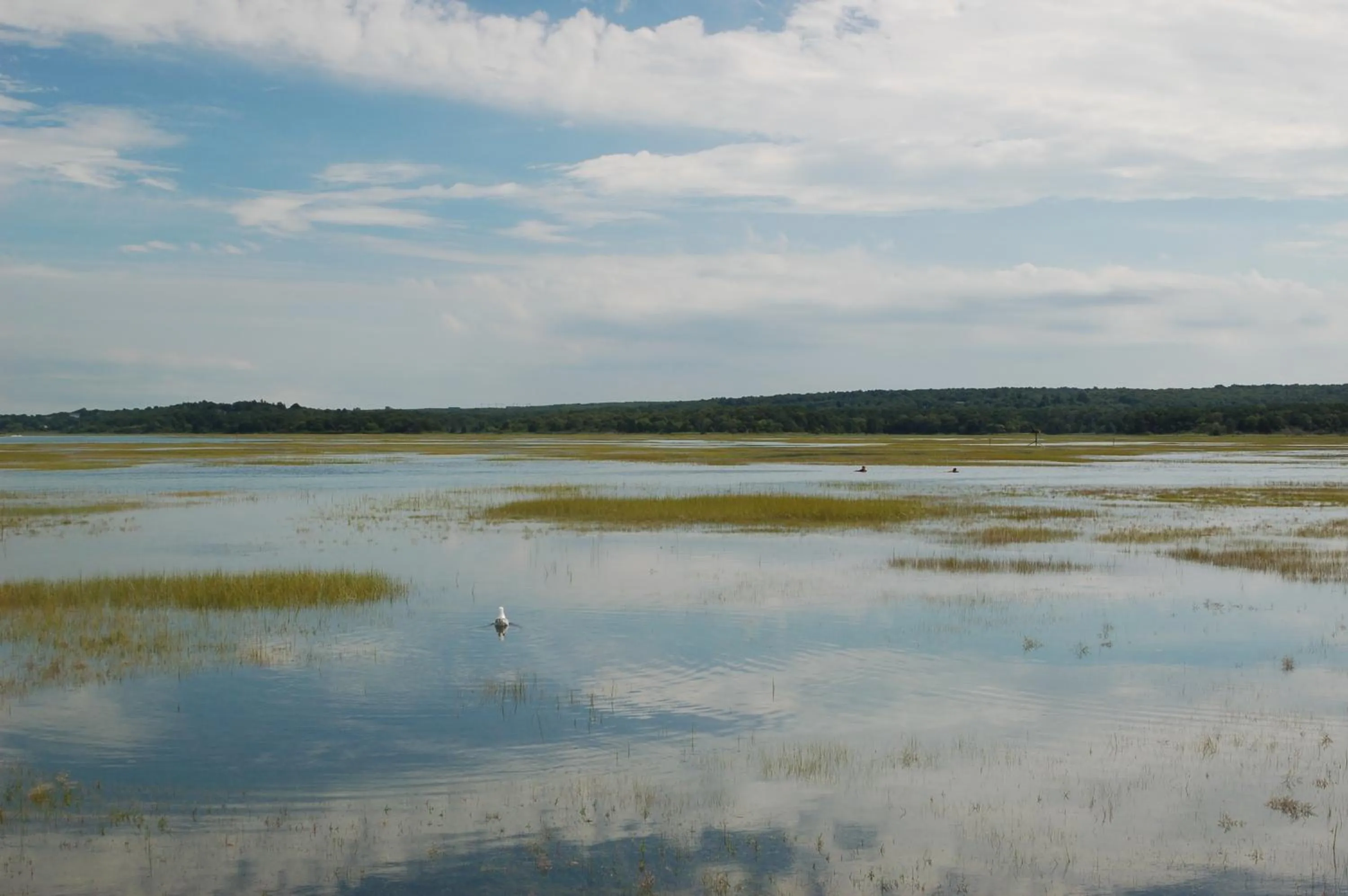 Day in Anchor Inn Beach House