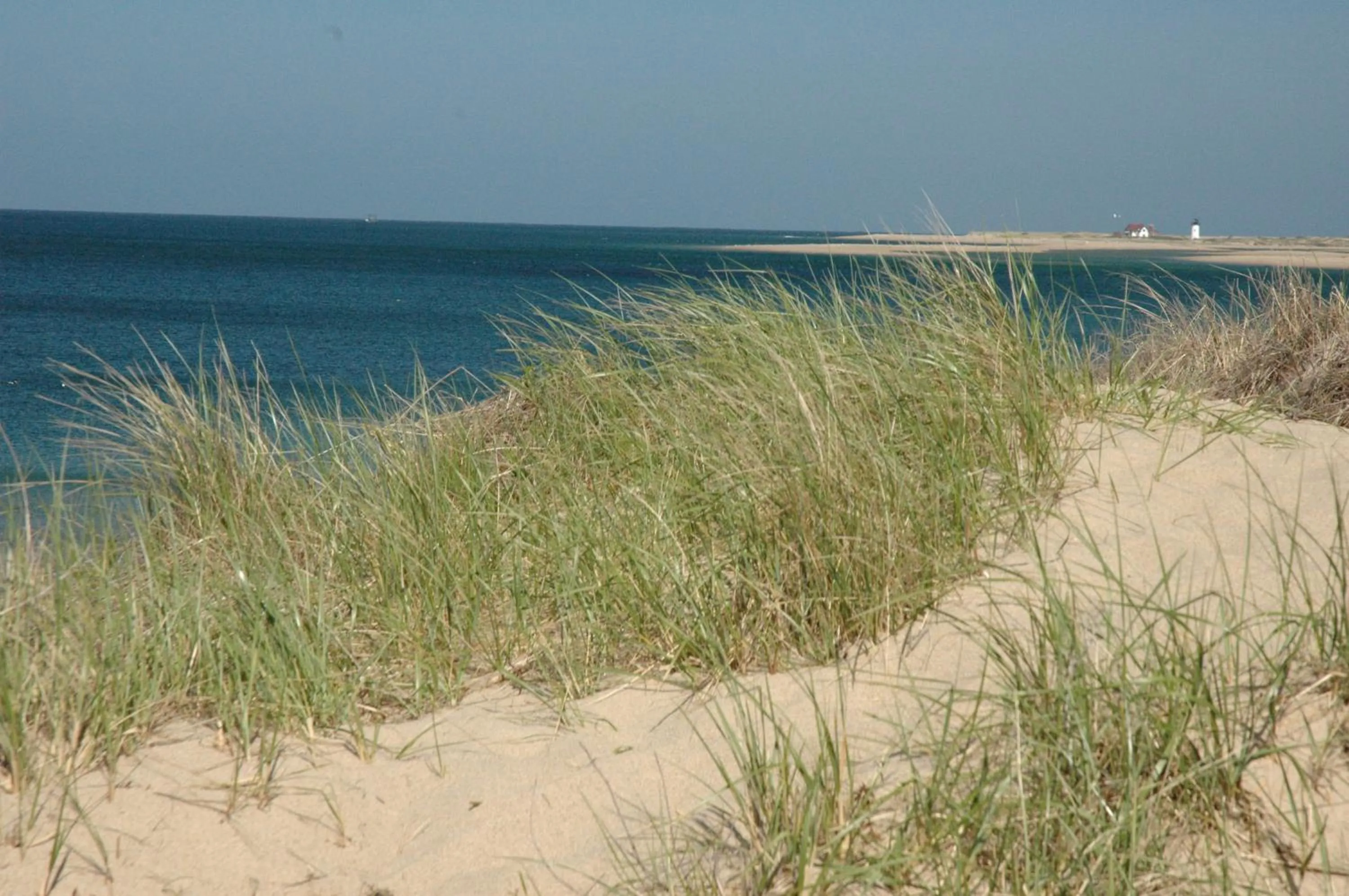 Spring in Anchor Inn Beach House