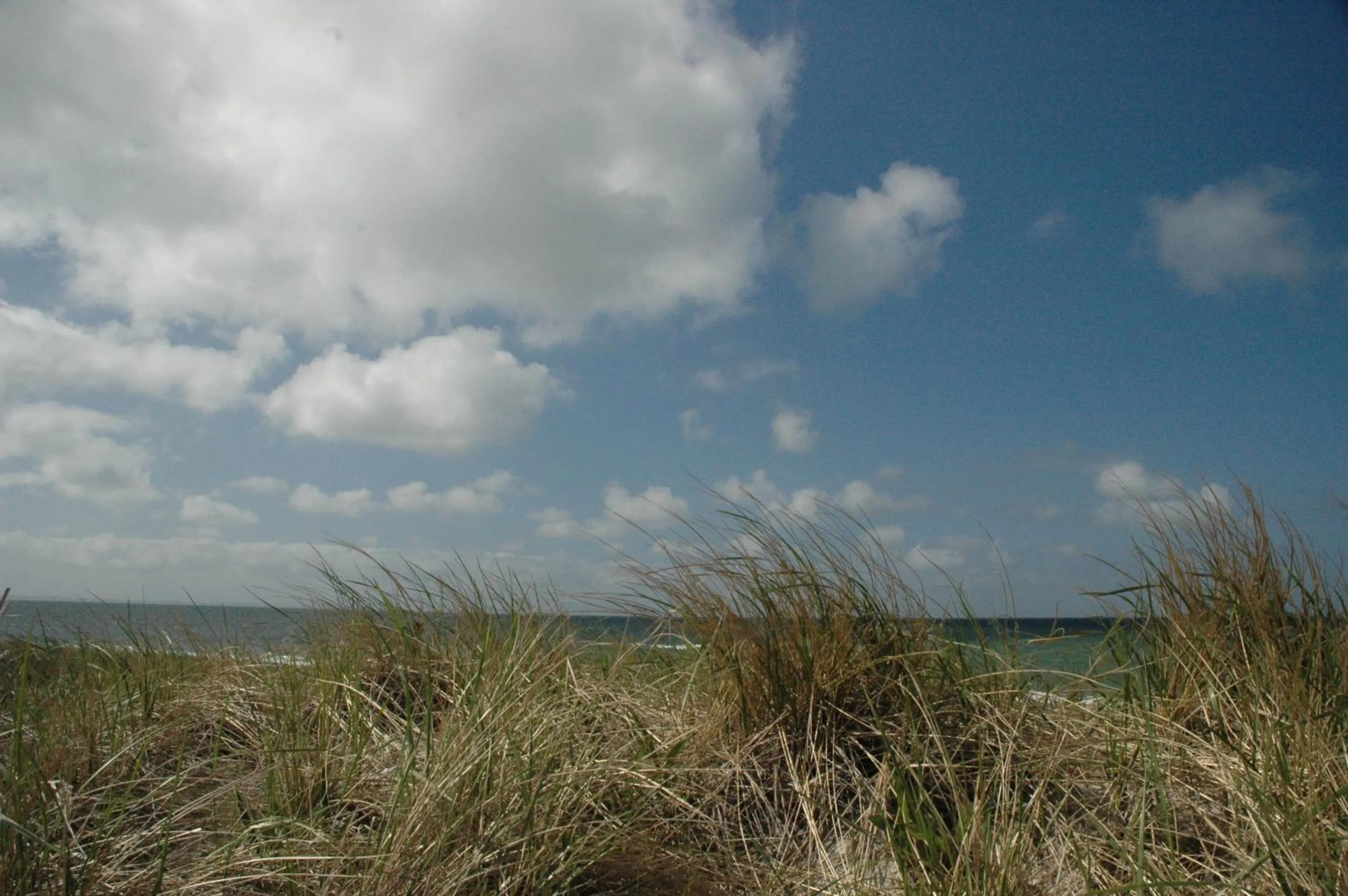 Spring in Anchor Inn Beach House