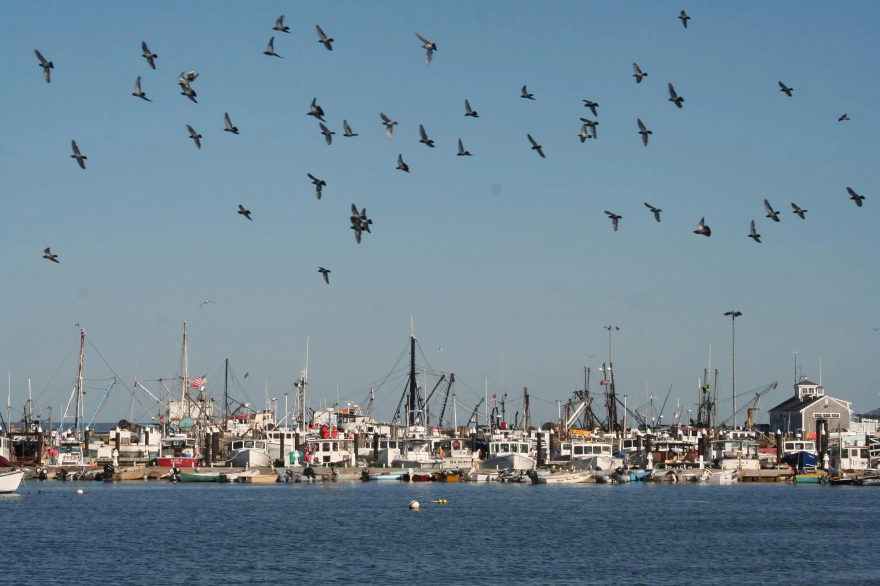 Day in Anchor Inn Beach House