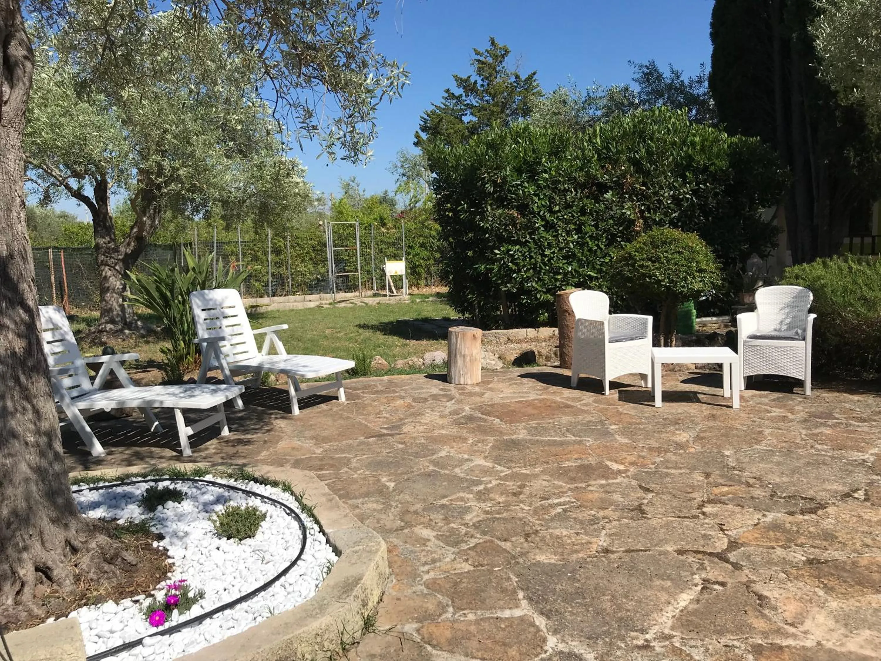 Butterfly House Bed & Breakfast