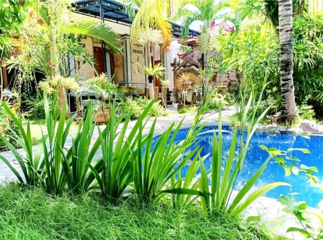 Garden in Green Palace Homestay