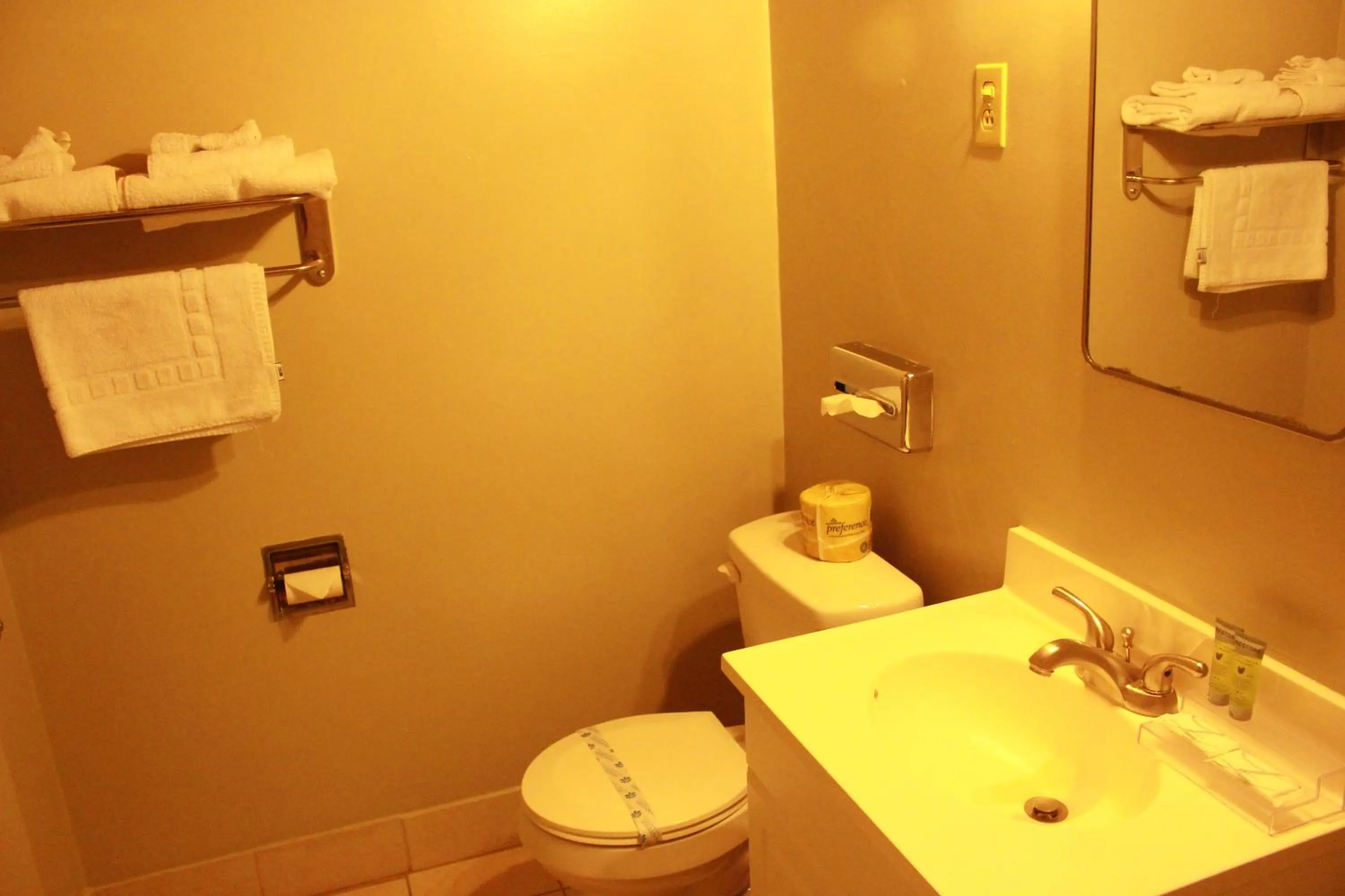 Bathroom in Budget Inn -Yreka