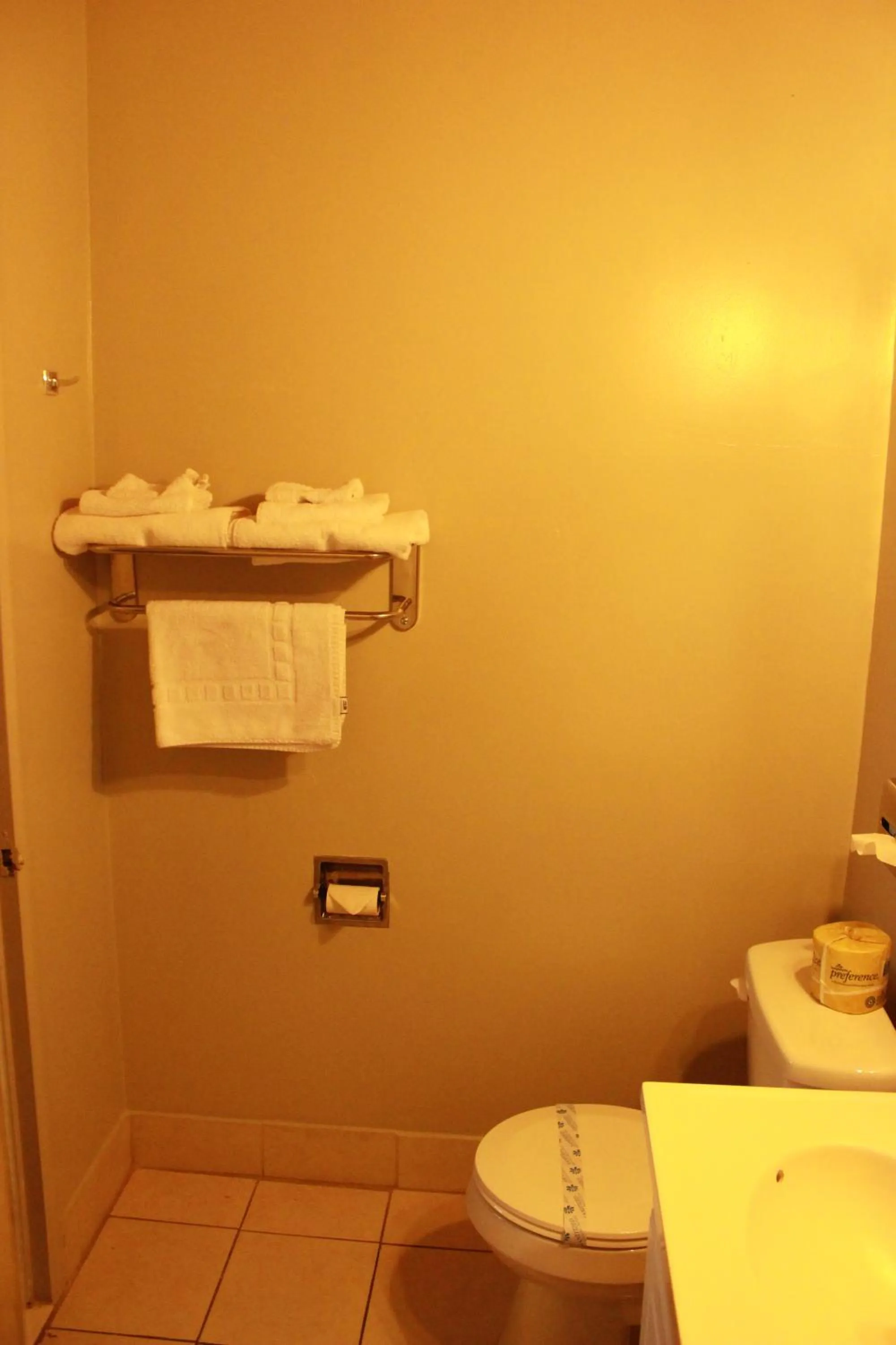 Bathroom in Budget Inn -Yreka