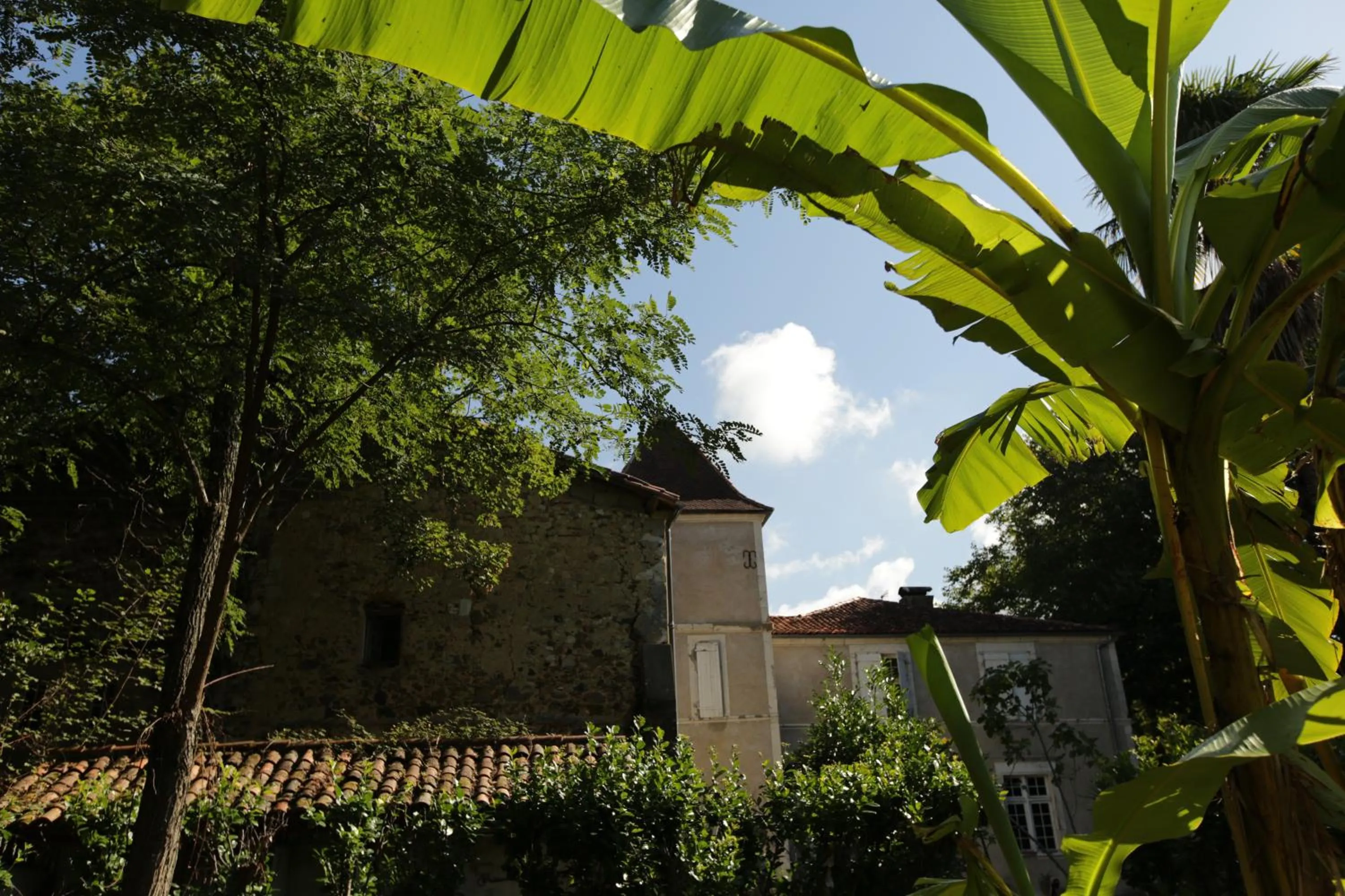 Chateau Saint Martin B&B