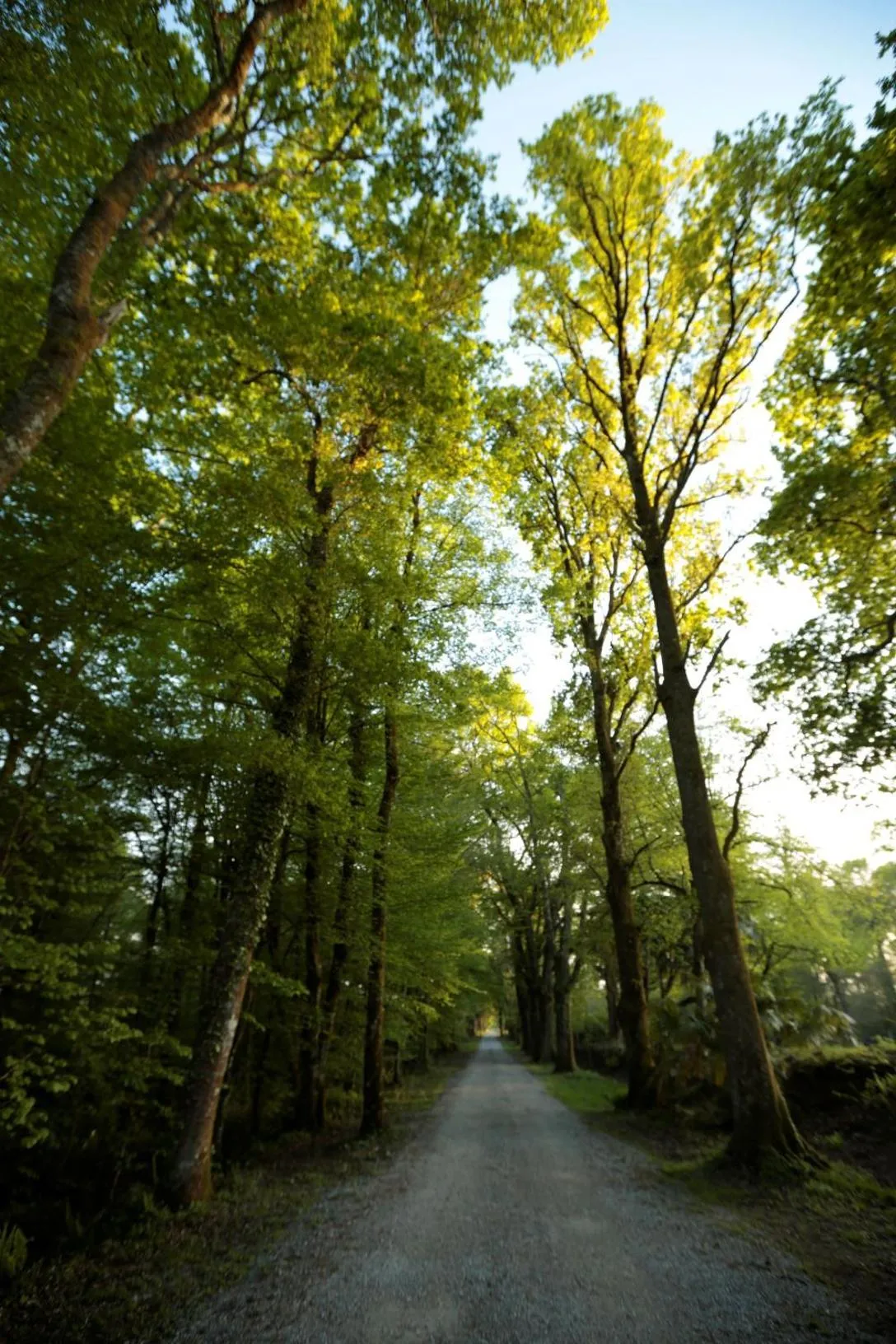 Chateau Saint Martin B&B