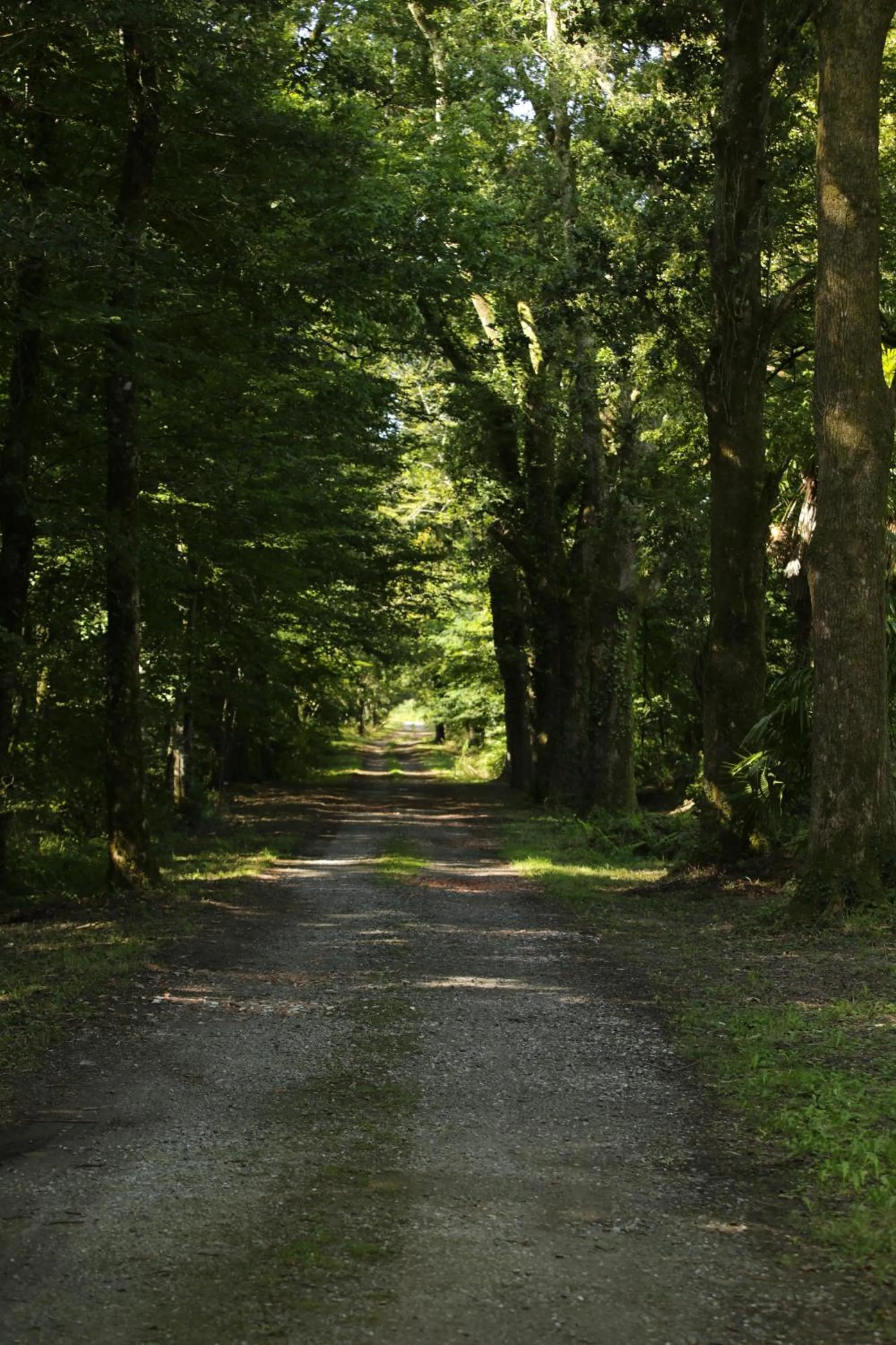 Chateau Saint Martin B&B