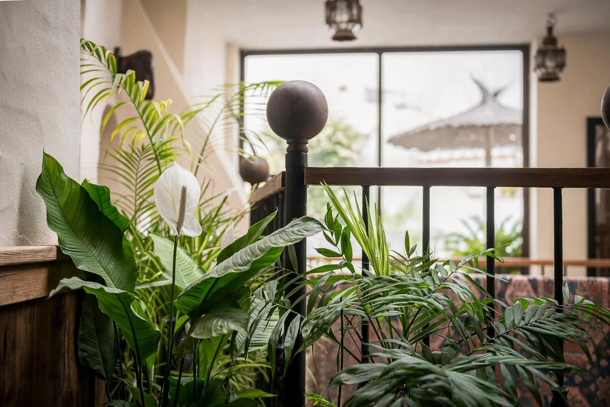 Property building in Las Palmeras del Califa