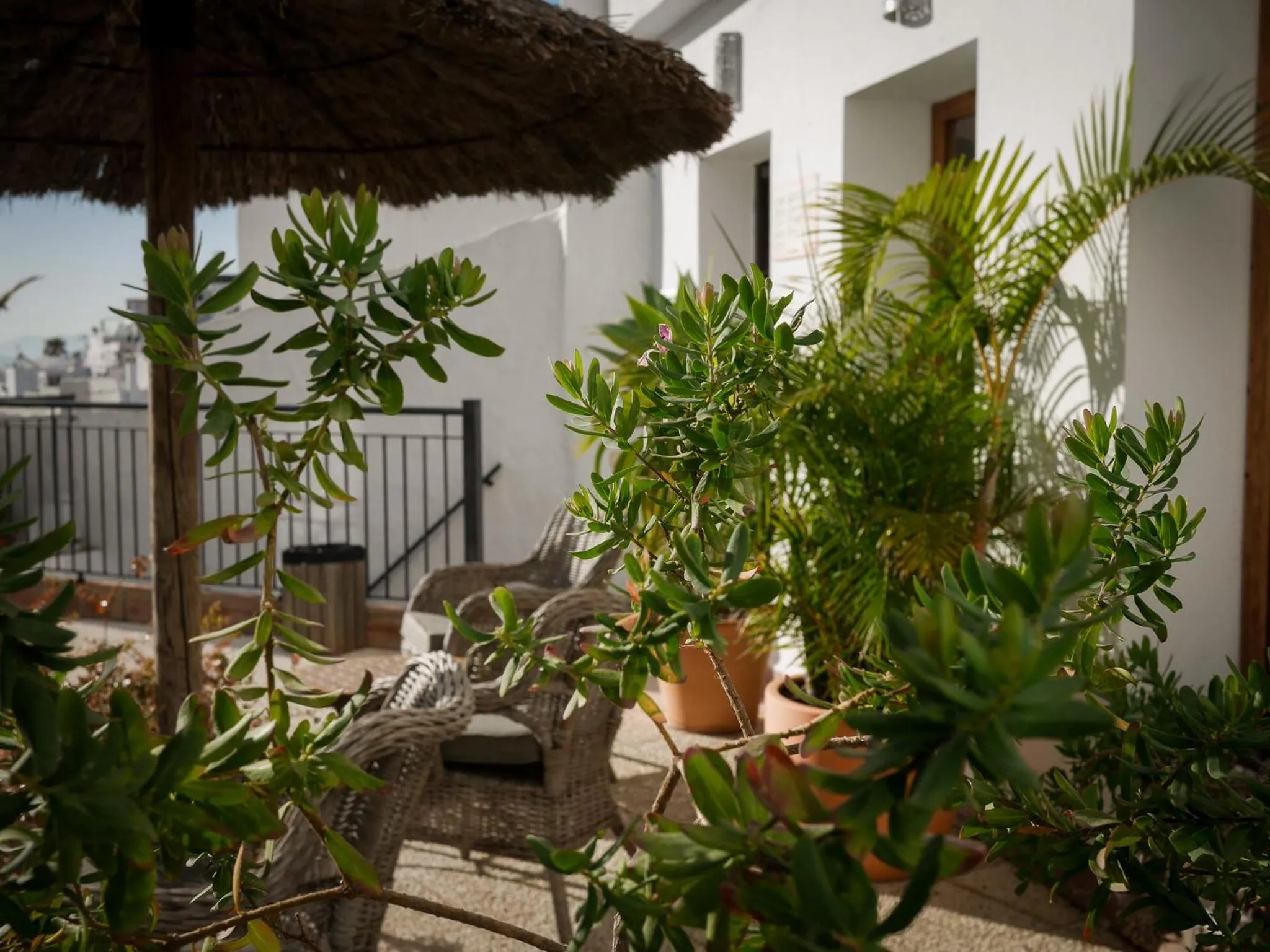 Property building in Las Palmeras del Califa