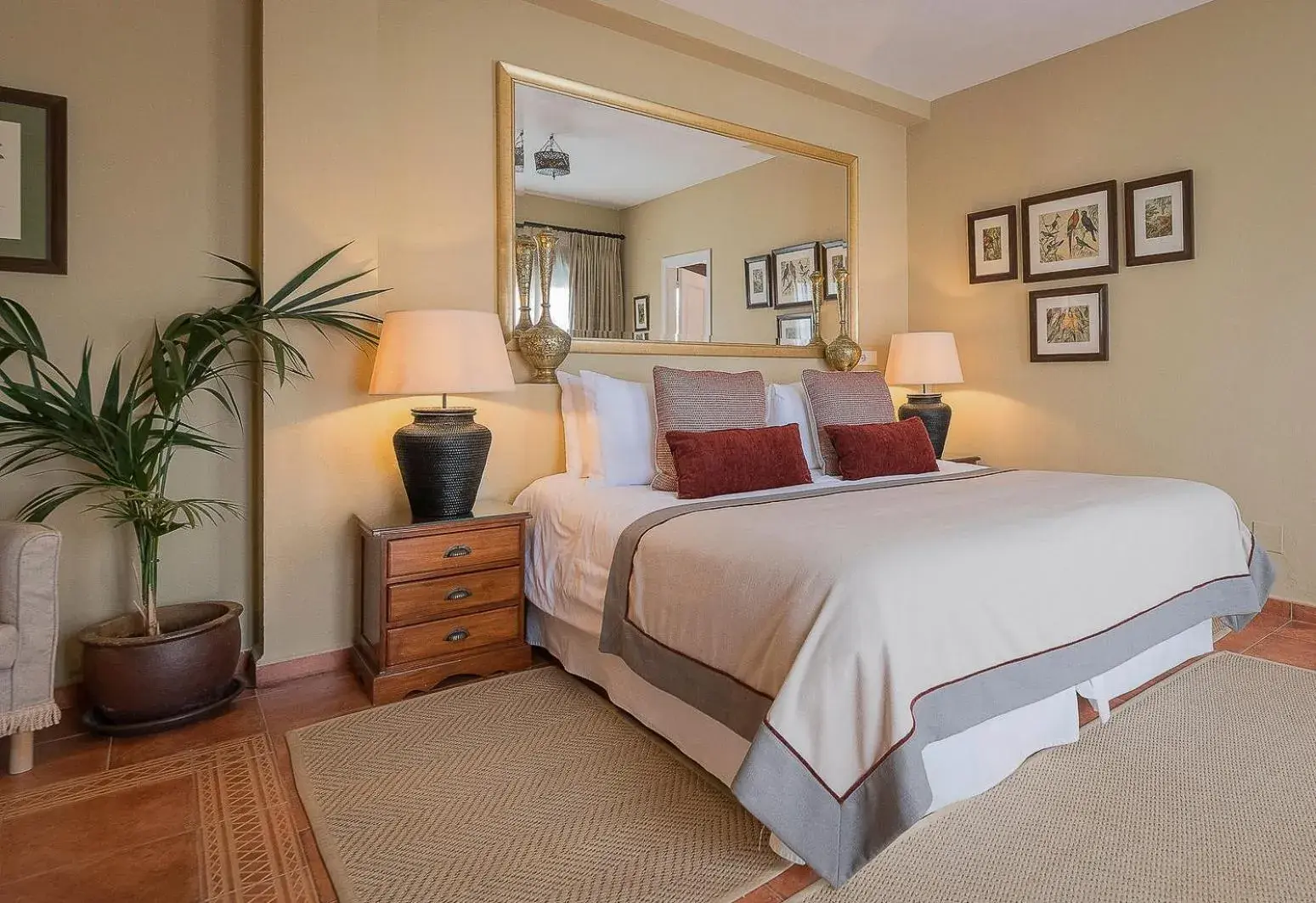 Junior Suite with Terrace in Las Palmeras del Califa Junior Suite with Terrace in Las Palmeras del Califa