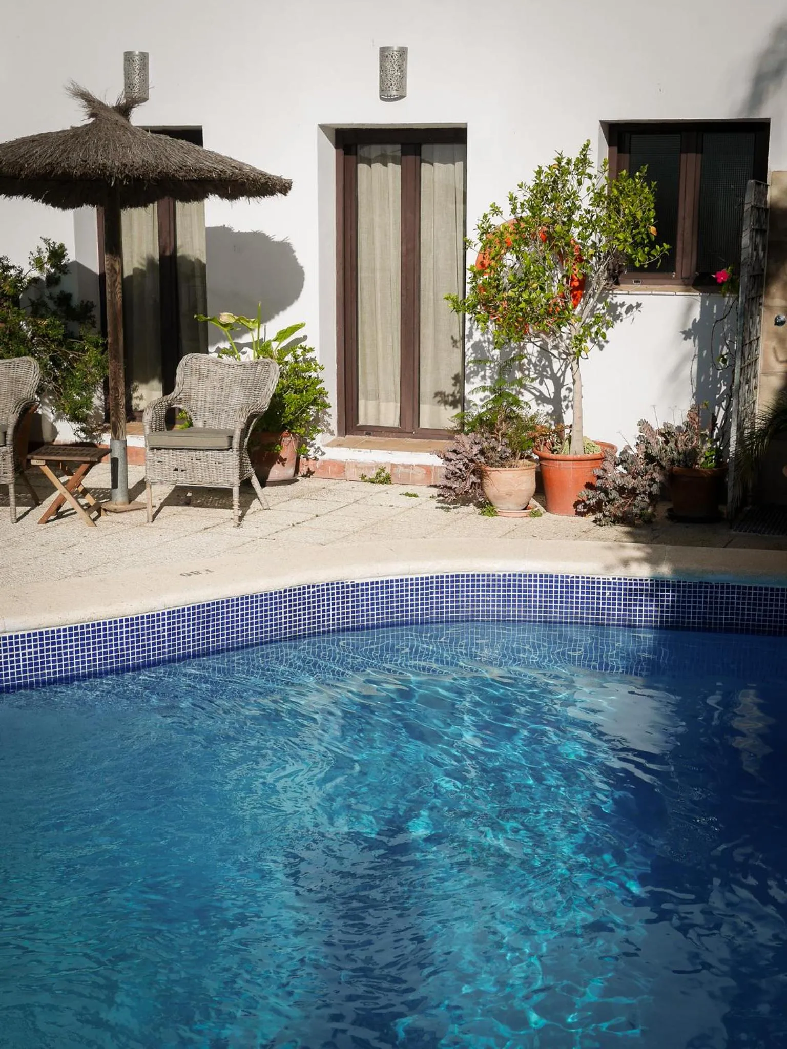 Swimming pool in Las Palmeras del Califa