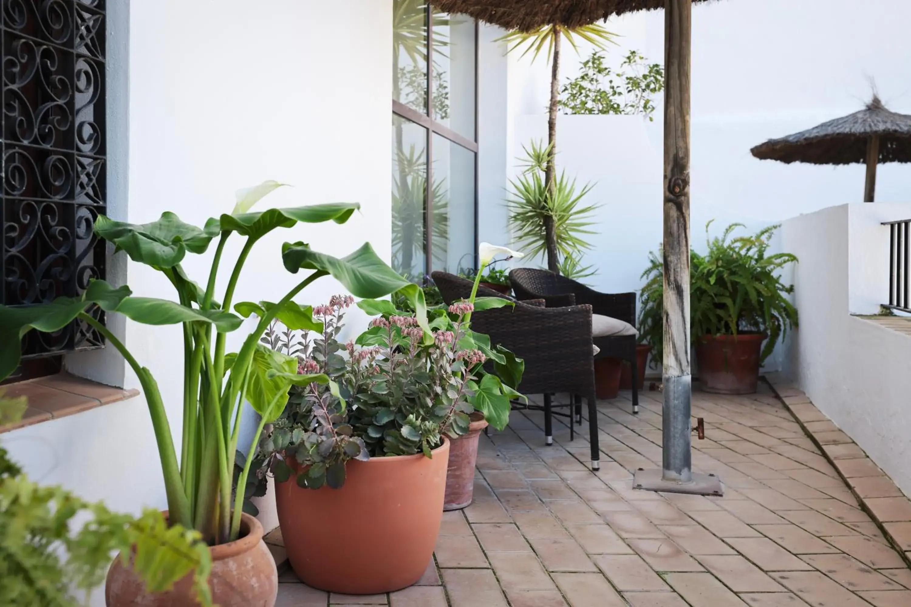 Double or Twin Room in Las Palmeras del Califa Double or Twin Room in Las Palmeras del Califa