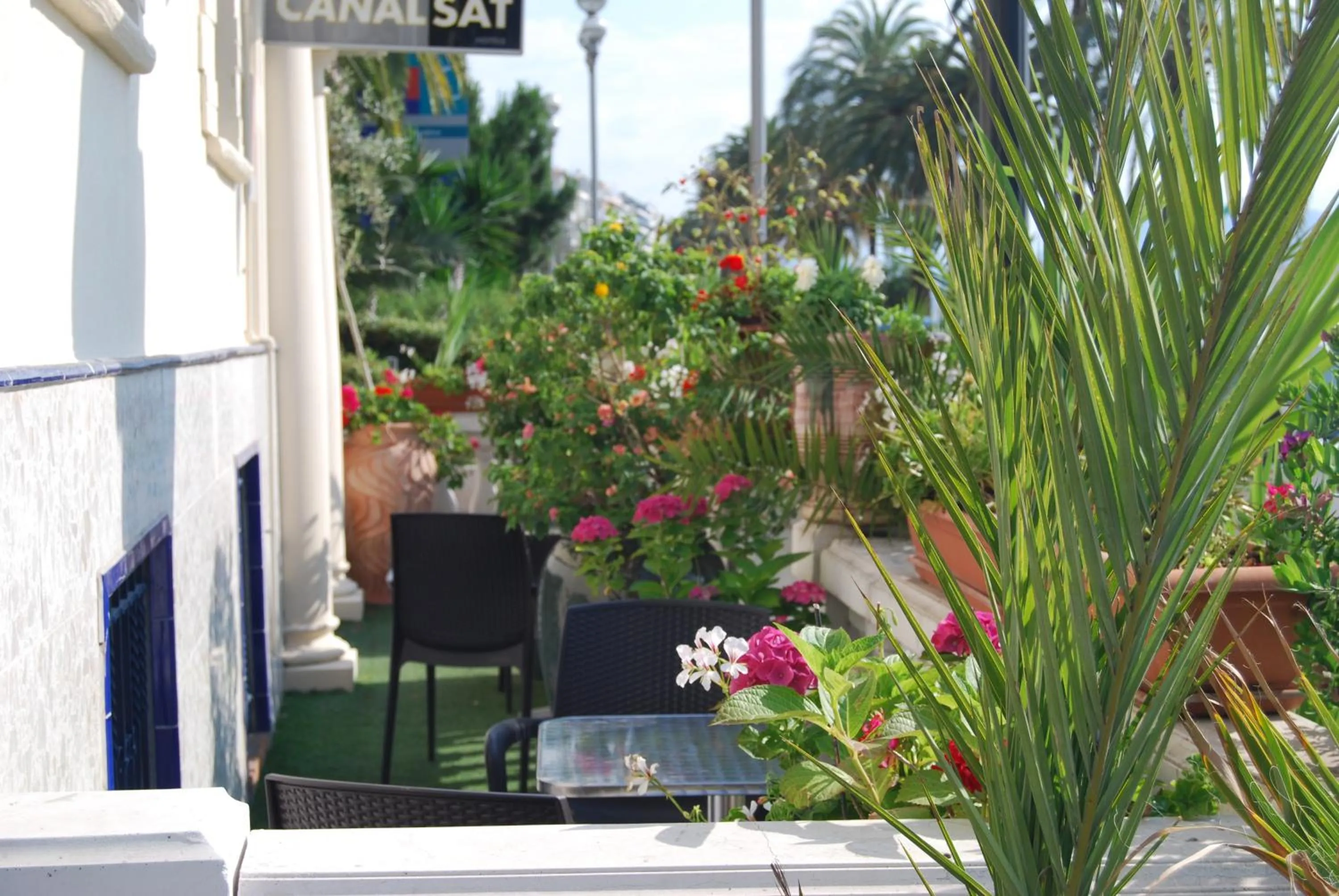 Balcony/Terrace in Hôtel Azur