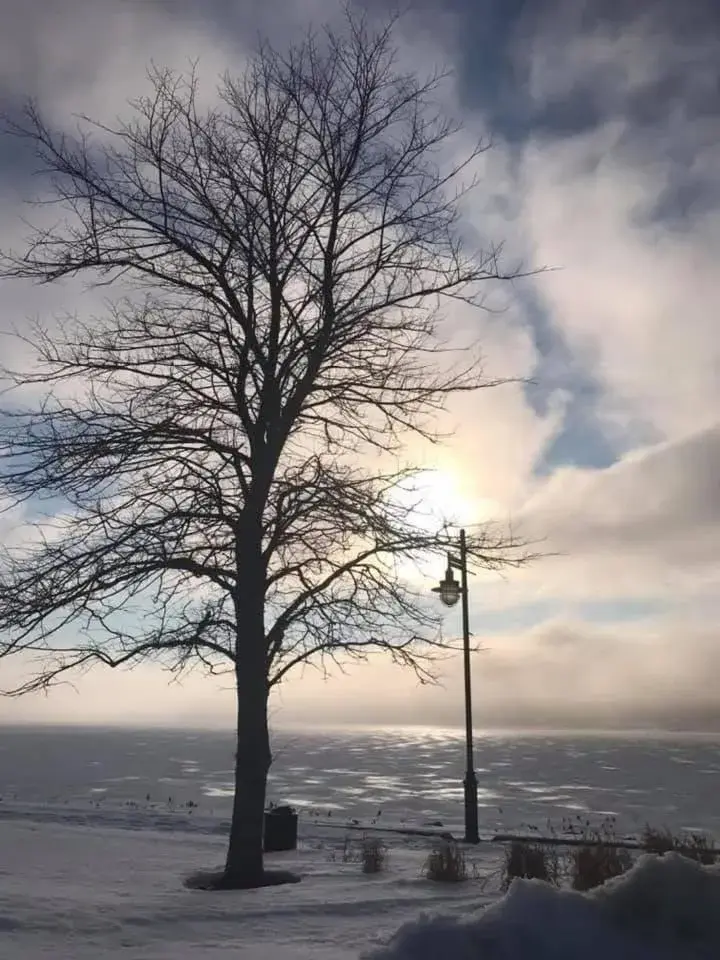 View (from property/room) in The Simon Hotel Sydney View (from property/room) in The Simon Hotel Sydney