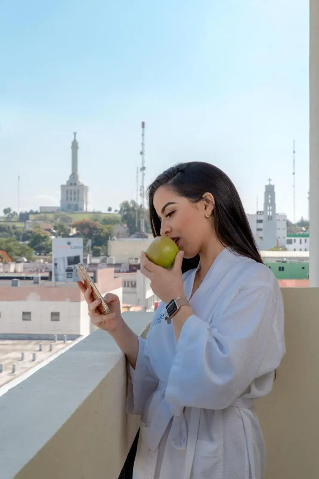 City view in Hodelpa Centro Plaza City view in Hodelpa Centro Plaza