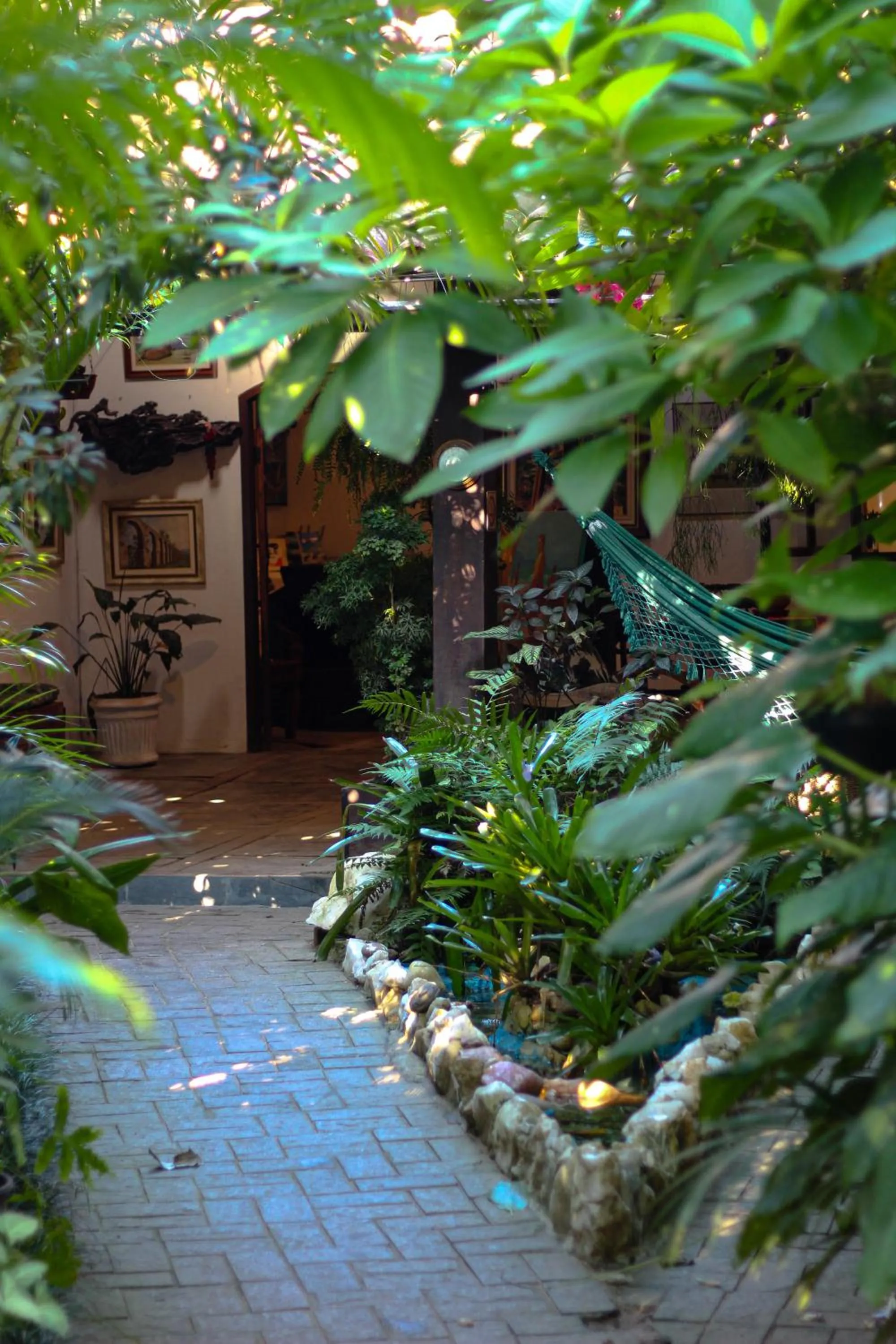 Garden view in Pousada Tropicana