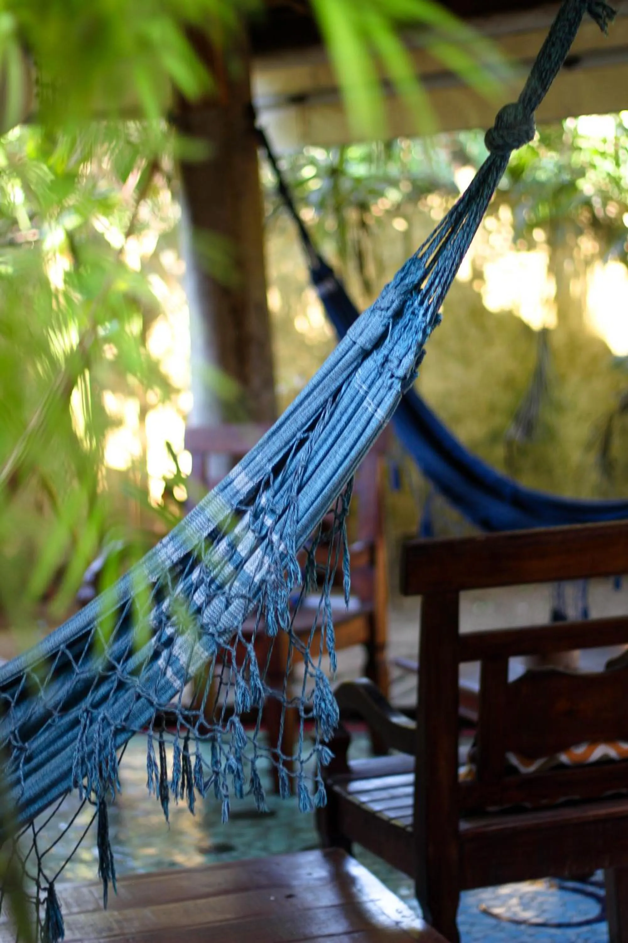 Garden in Pousada Tropicana