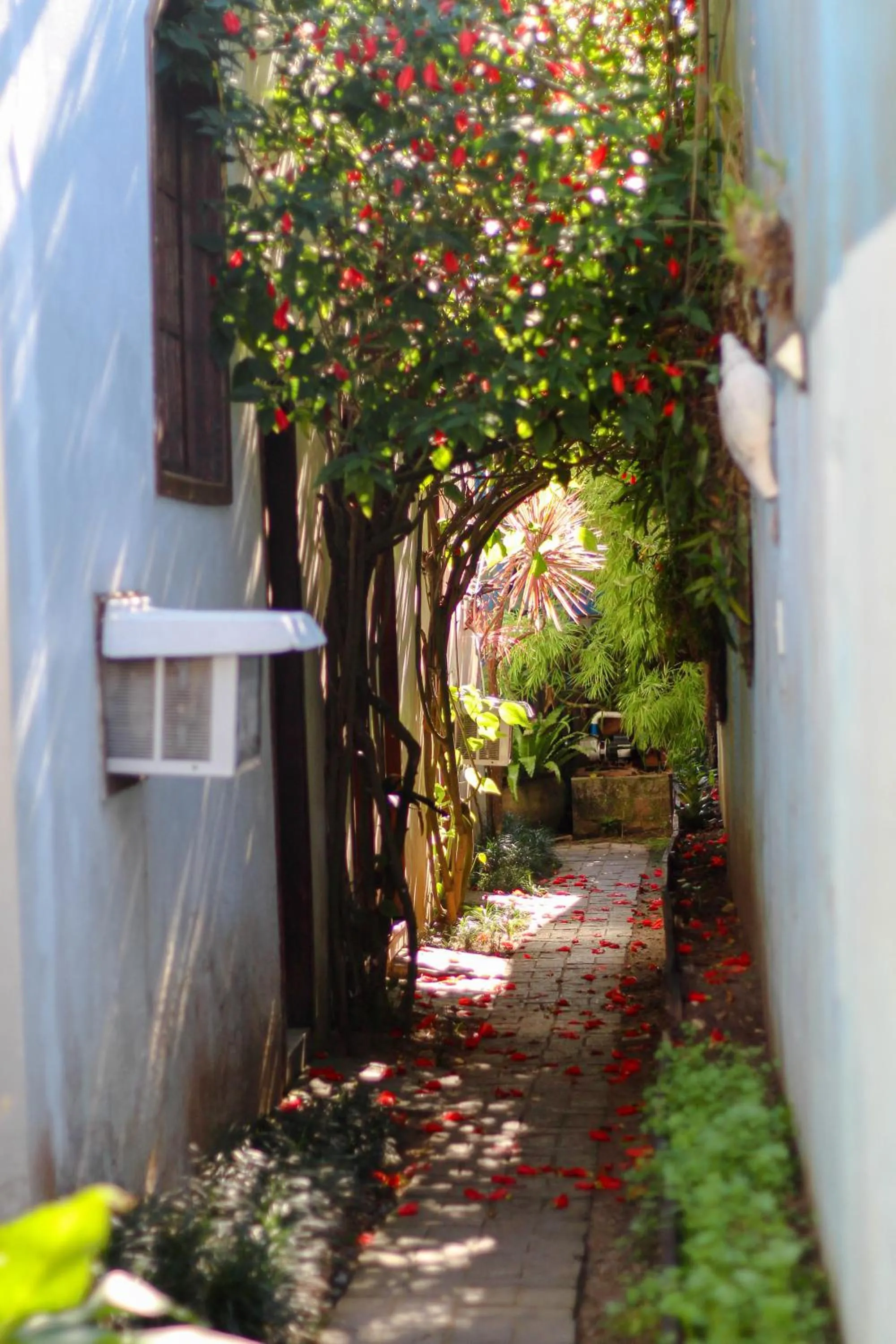 Spring in Pousada Tropicana