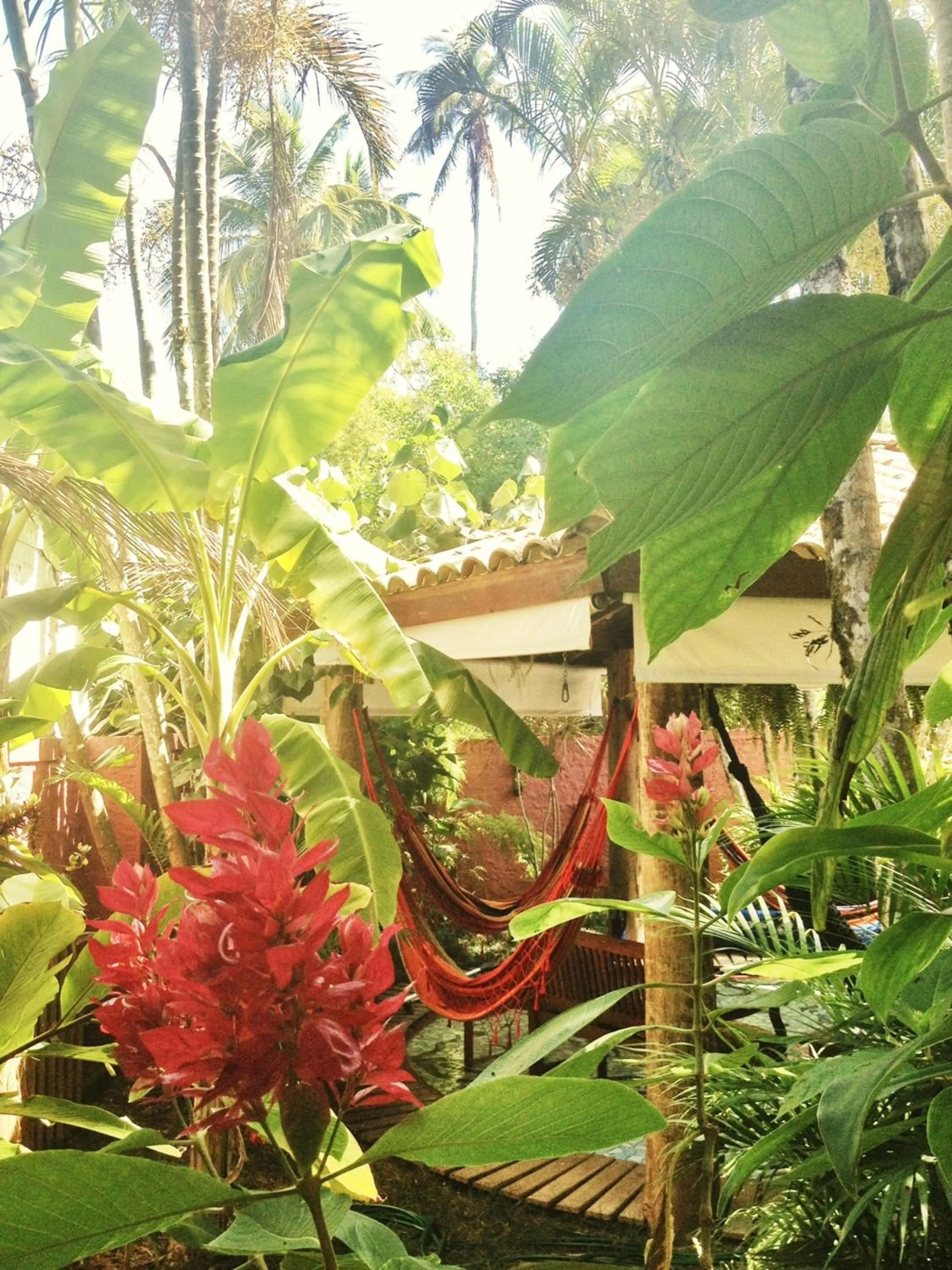 Garden in Pousada Tropicana