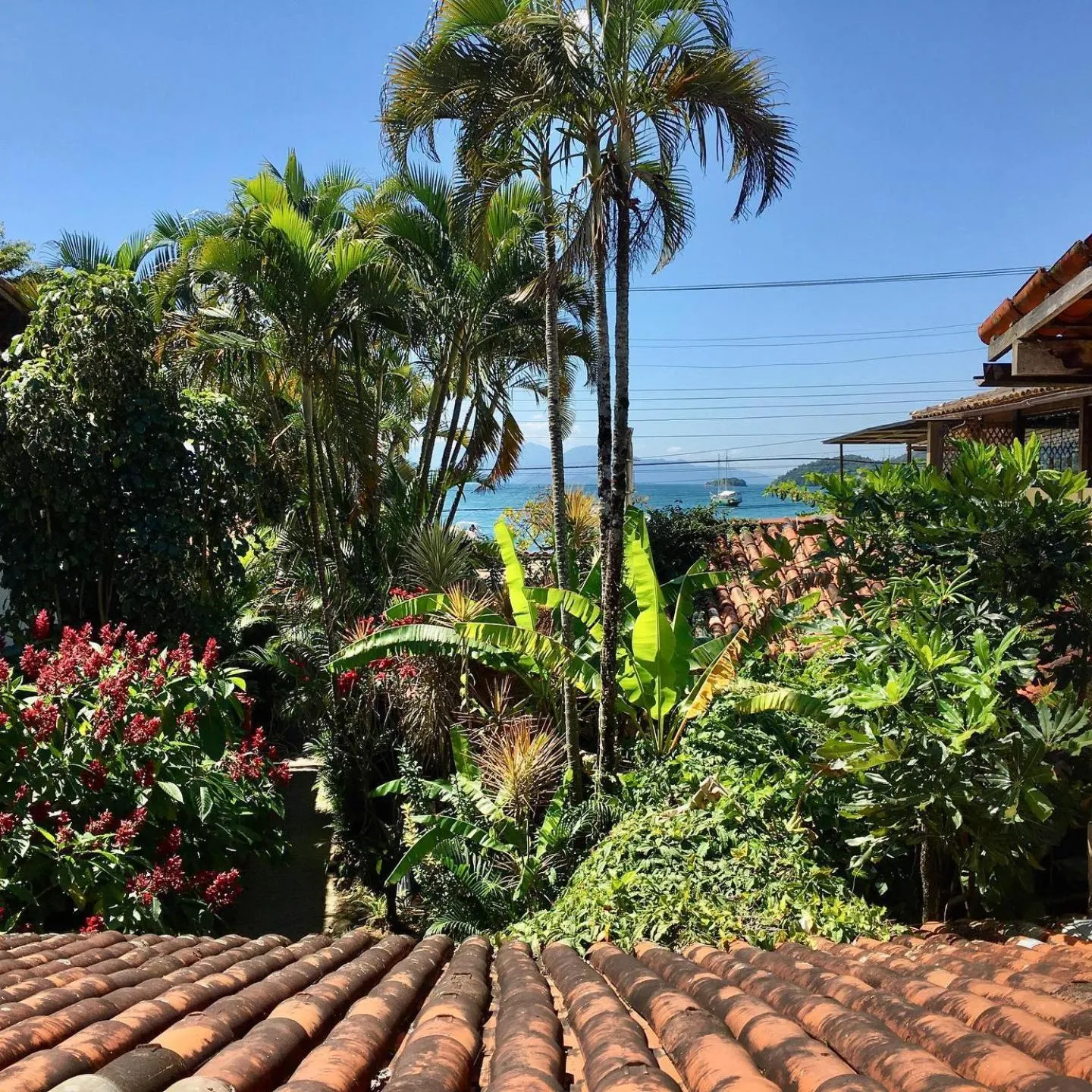 Natural landscape in Pousada Tropicana