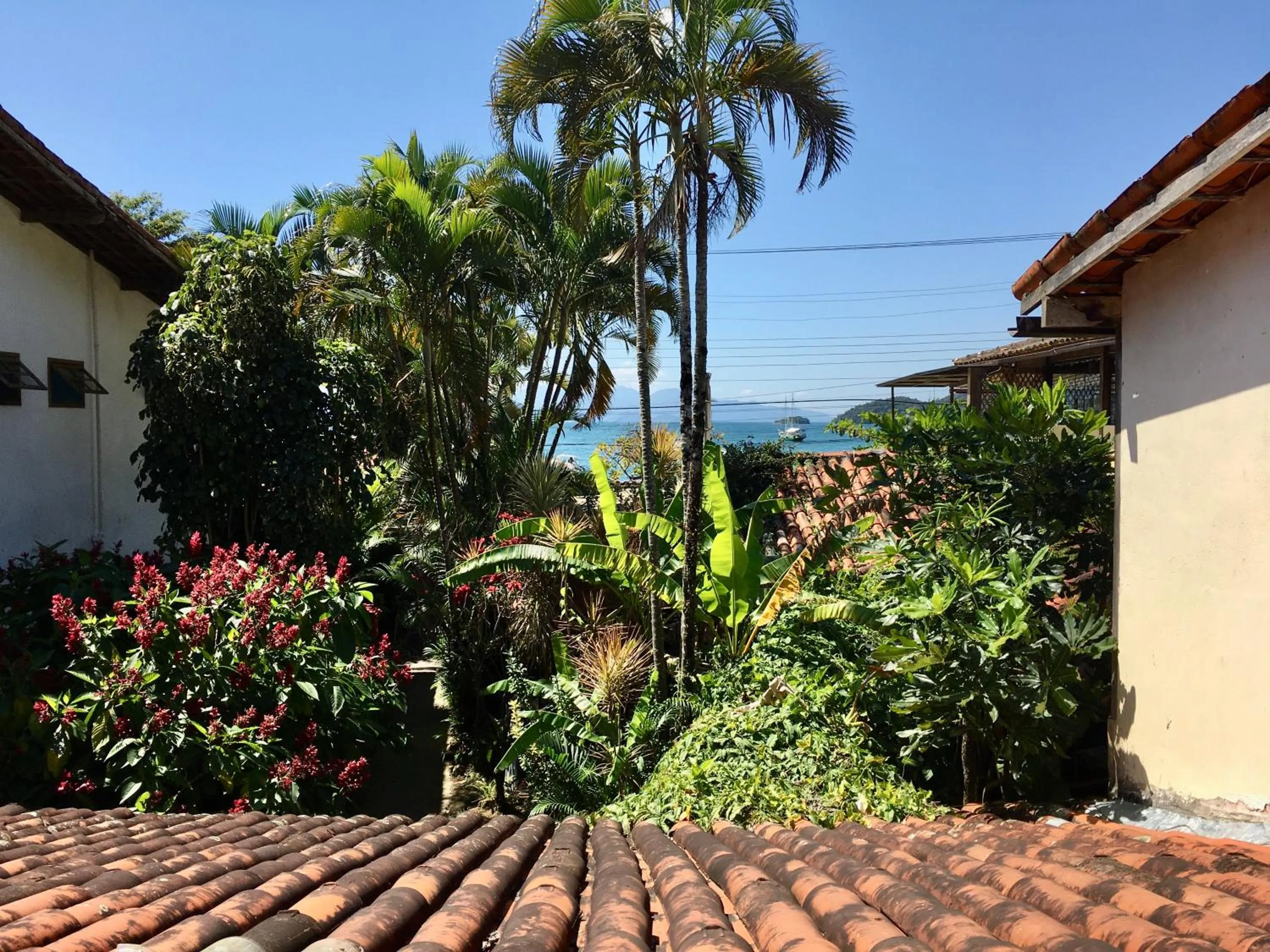 Garden view in Pousada Tropicana