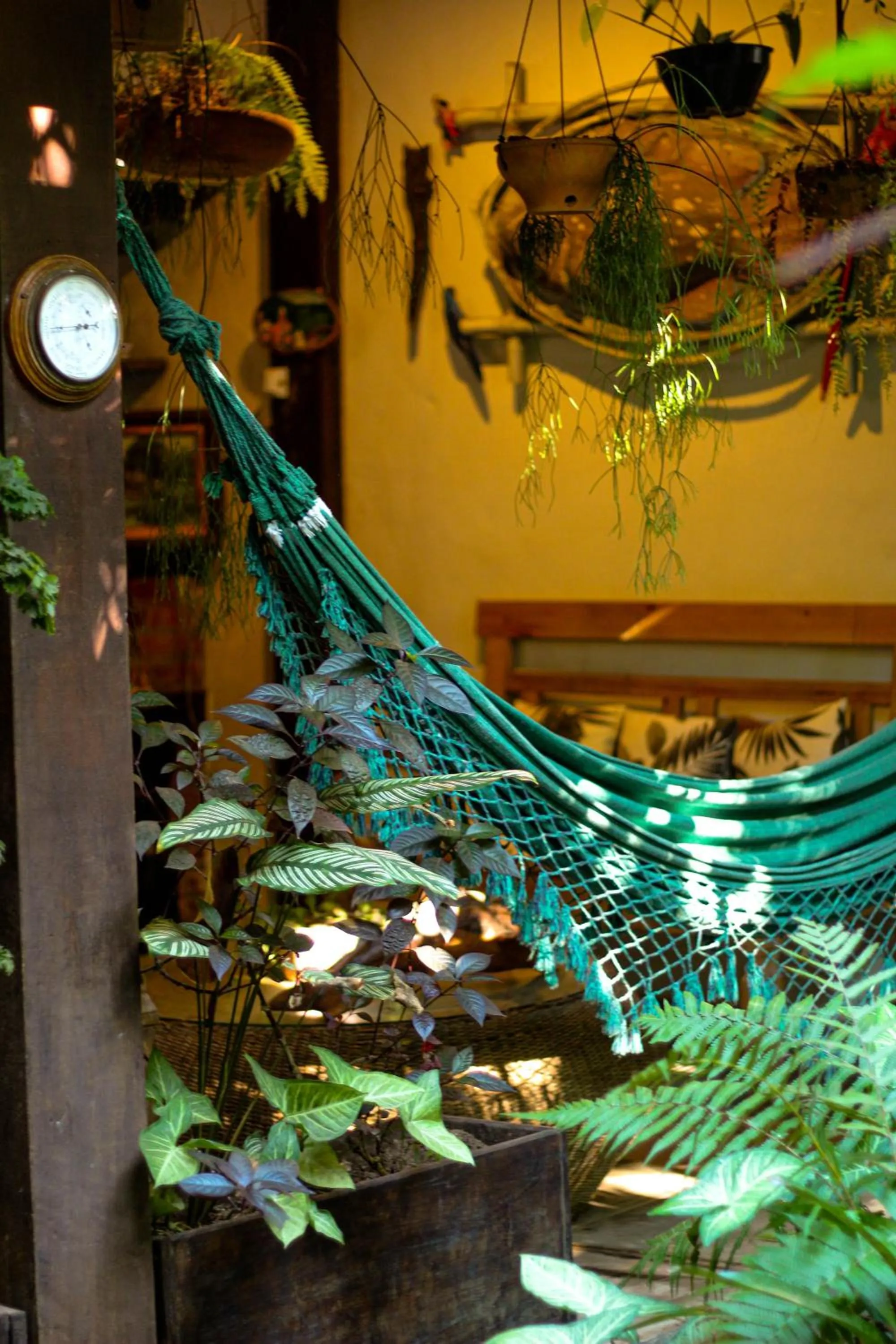 Garden in Pousada Tropicana