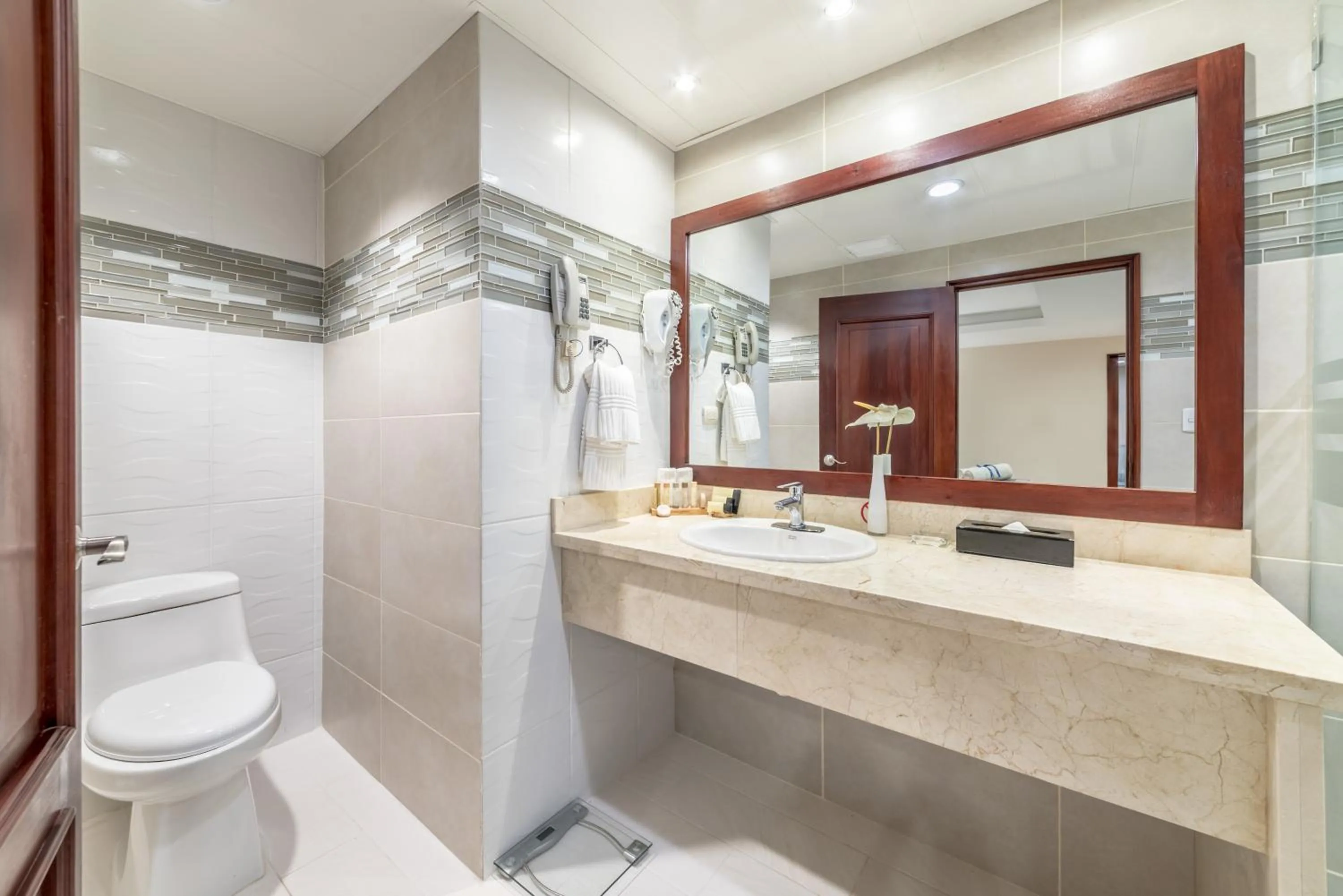 Property building in Hodelpa Gran Almirante