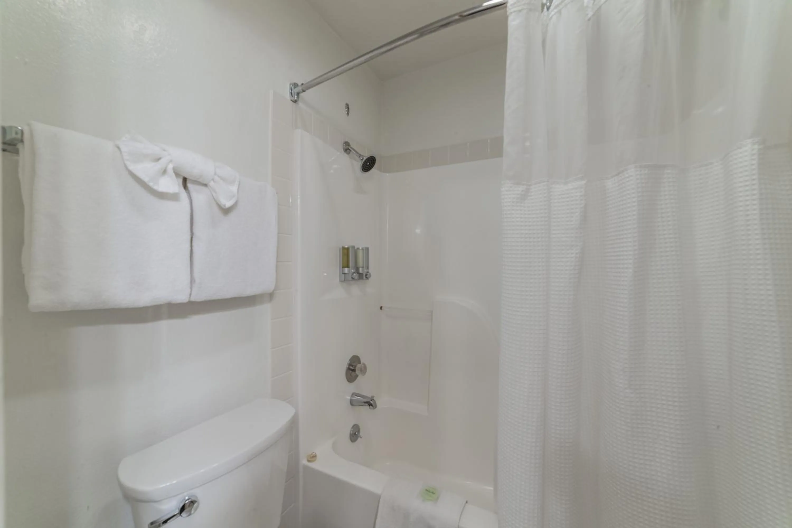 Shower in Alpenhof Lodge