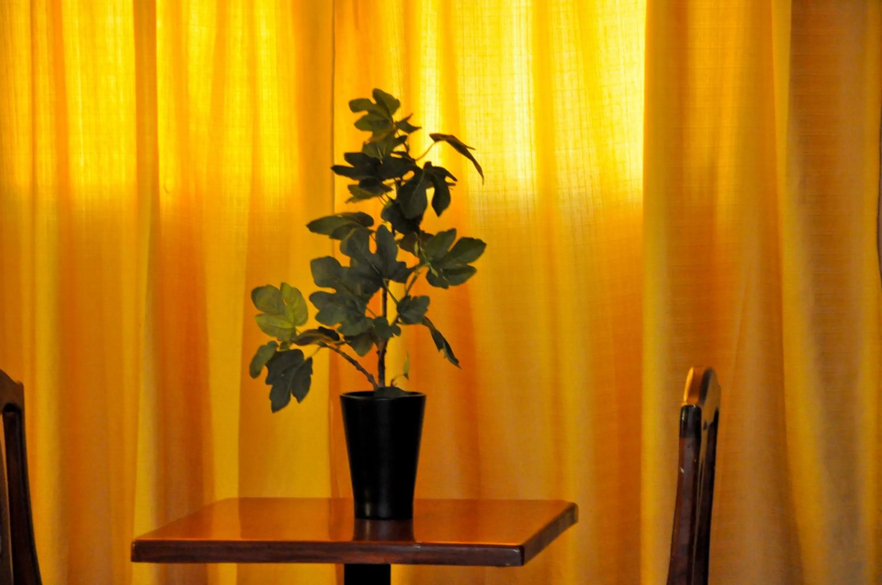 Decorative detail in Hotel Marimba Punta Cana