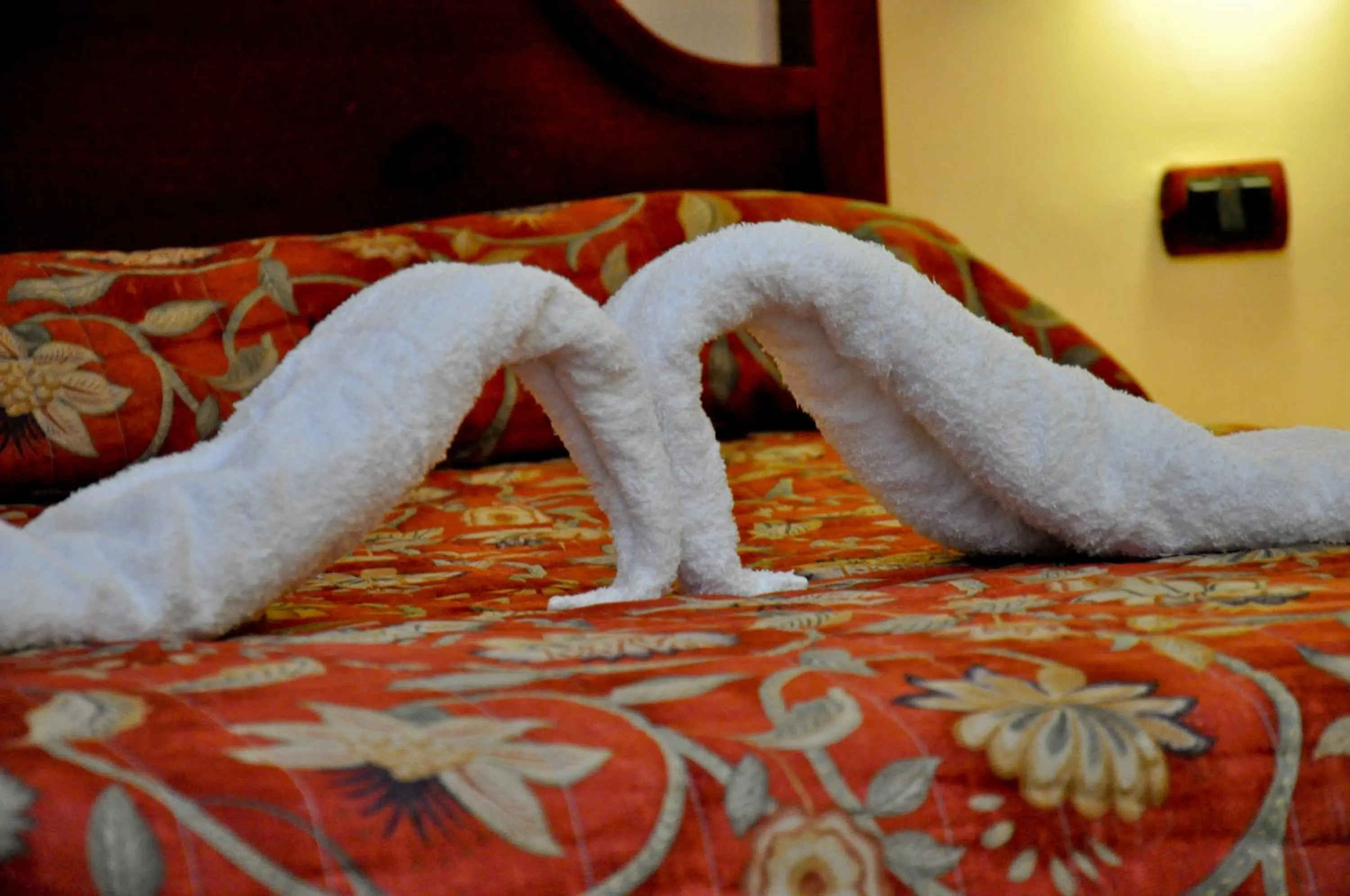 Decorative detail, Bed in Hotel Marimba Punta Cana