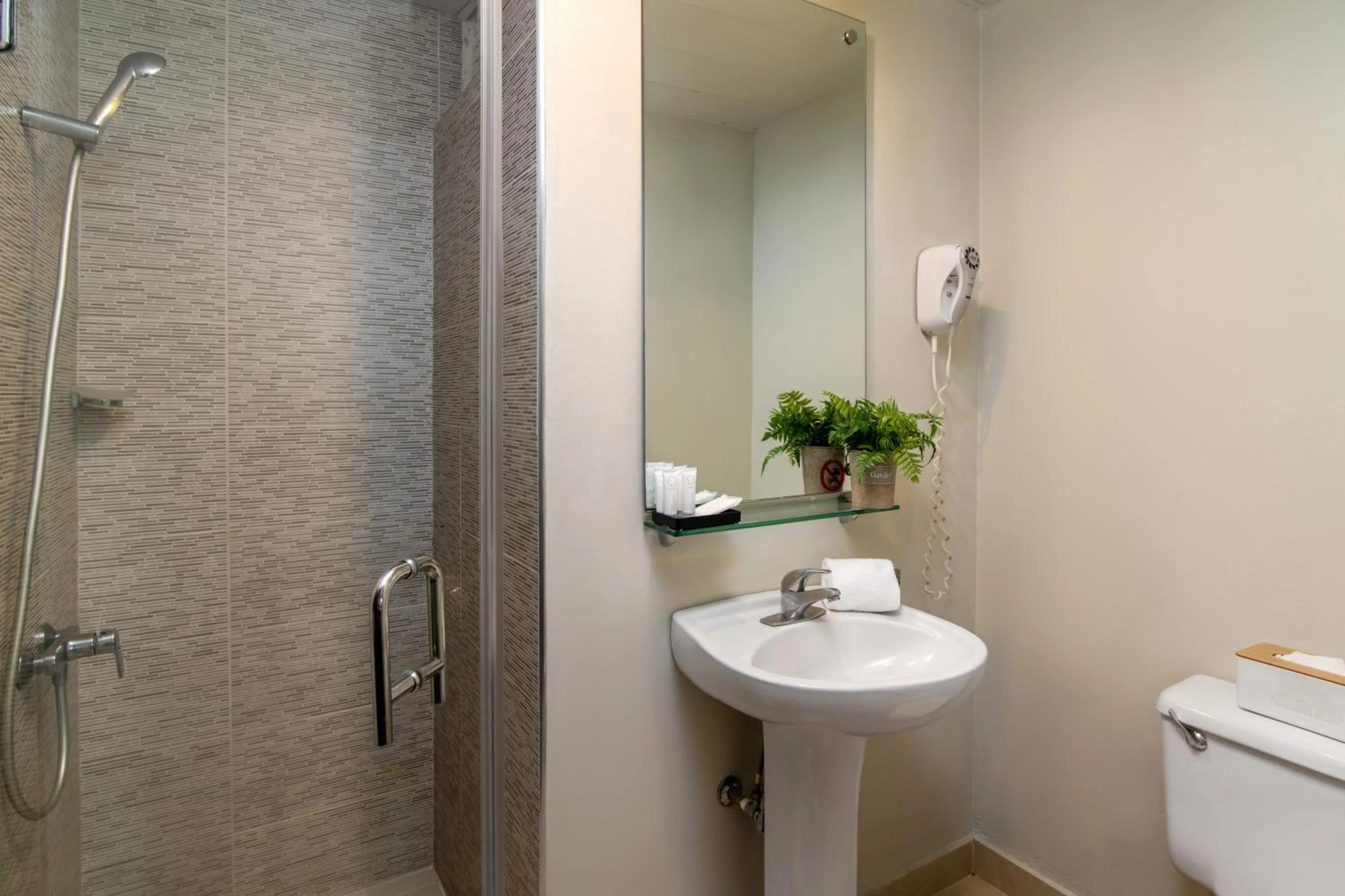 Hodelpa Caribe Colonial