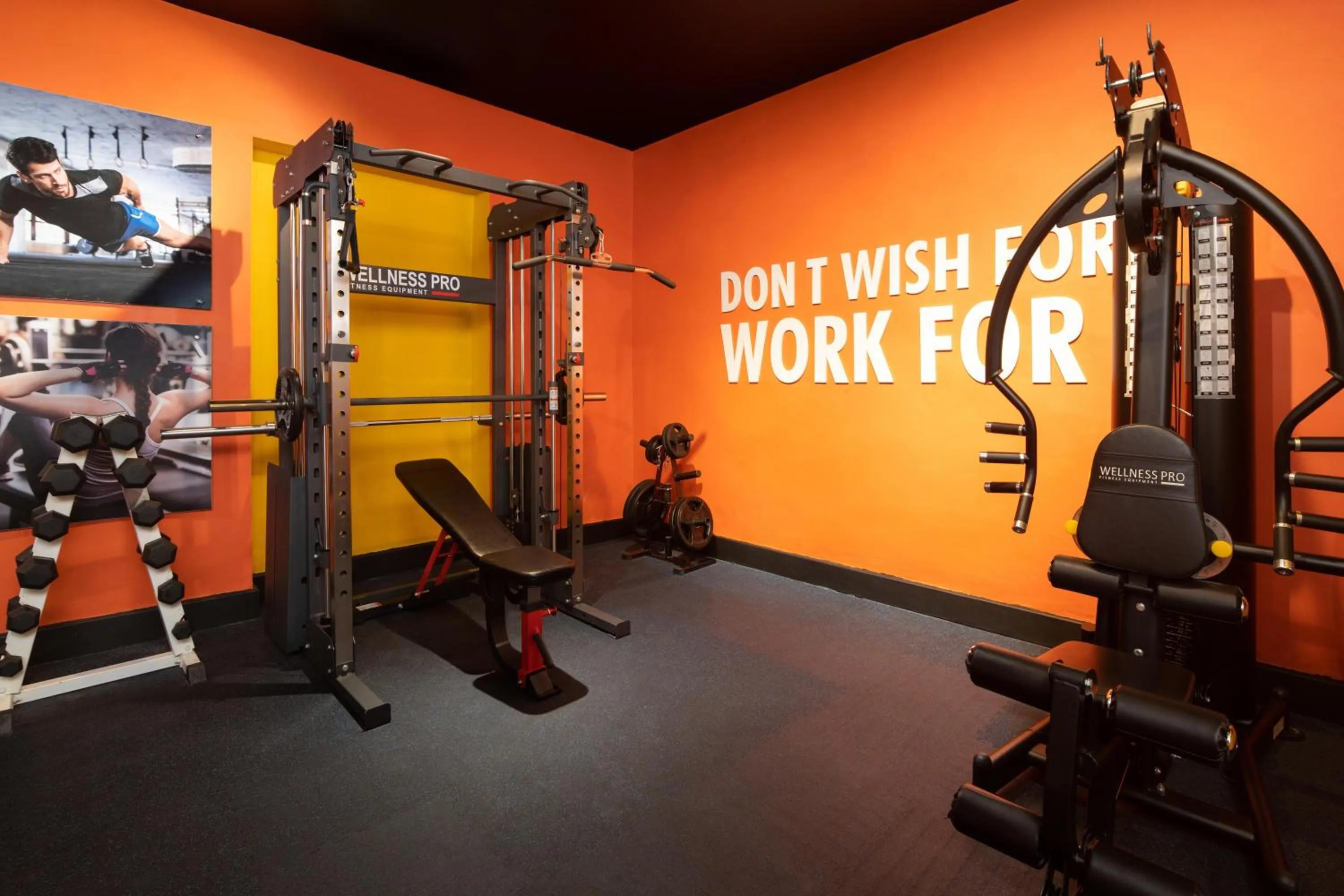 Activities in Hodelpa Caribe Colonial