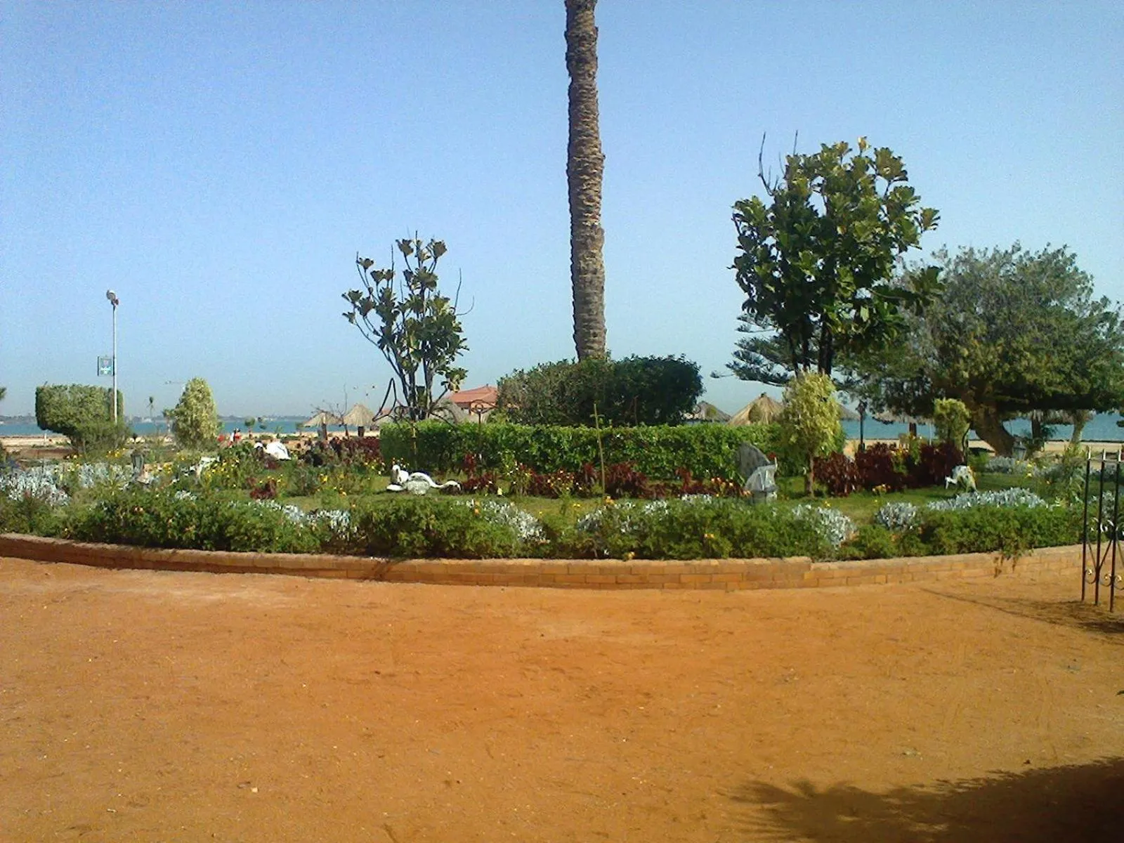 Garden in Fayed Armed Forces Hotel