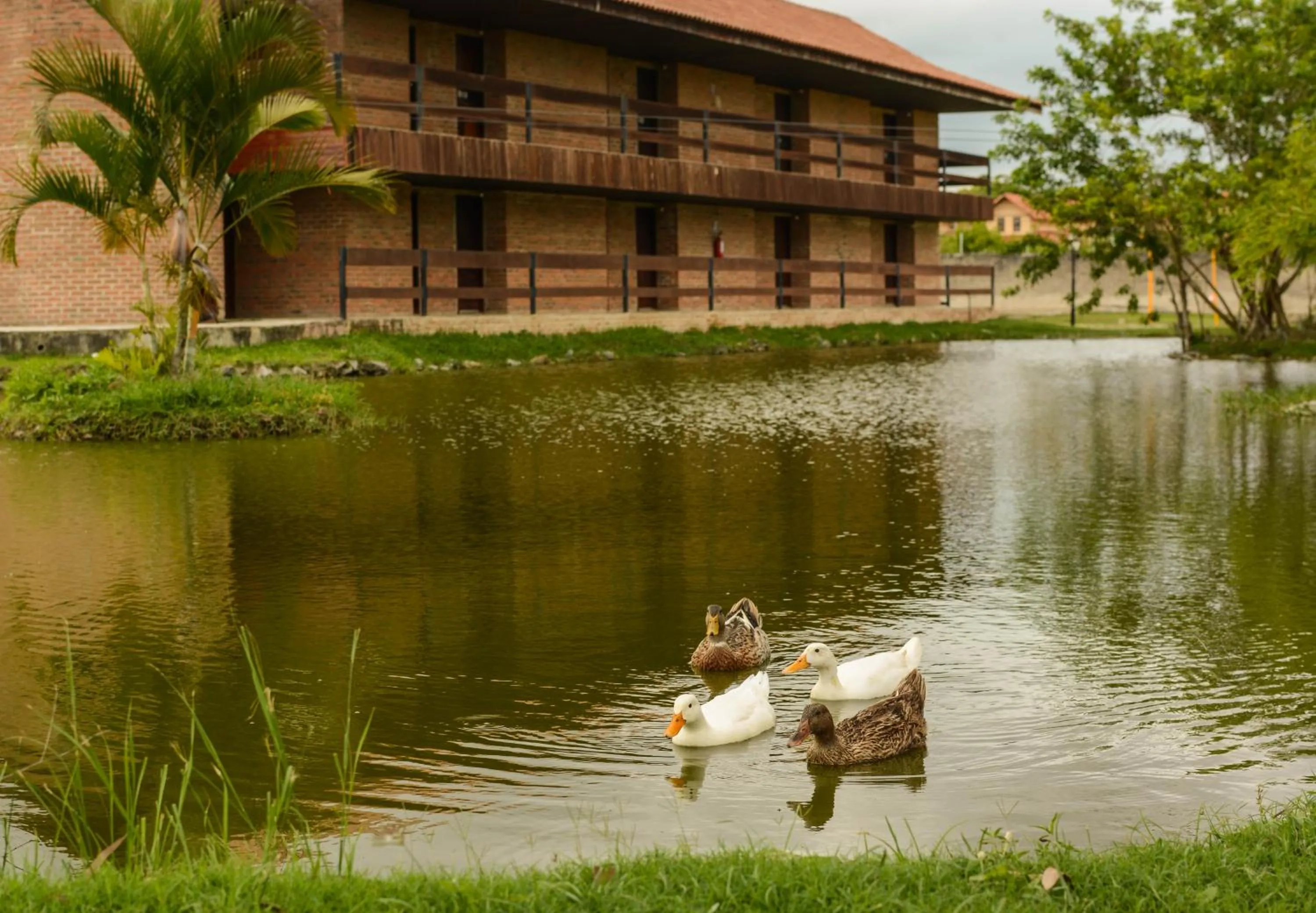 Property building in Hotel Casa Grande Gravatá