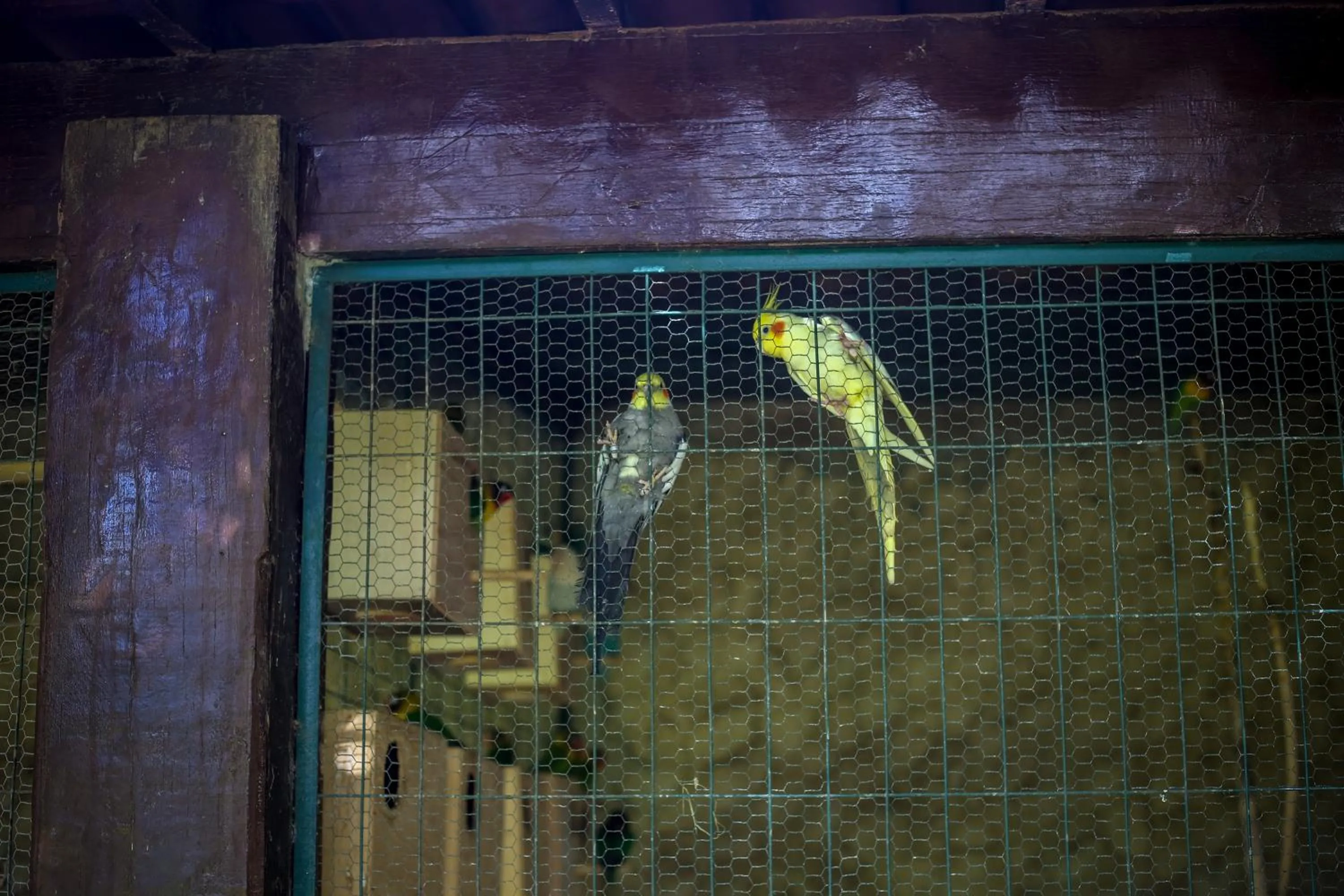 Activities in Hotel Casa Grande Gravatá