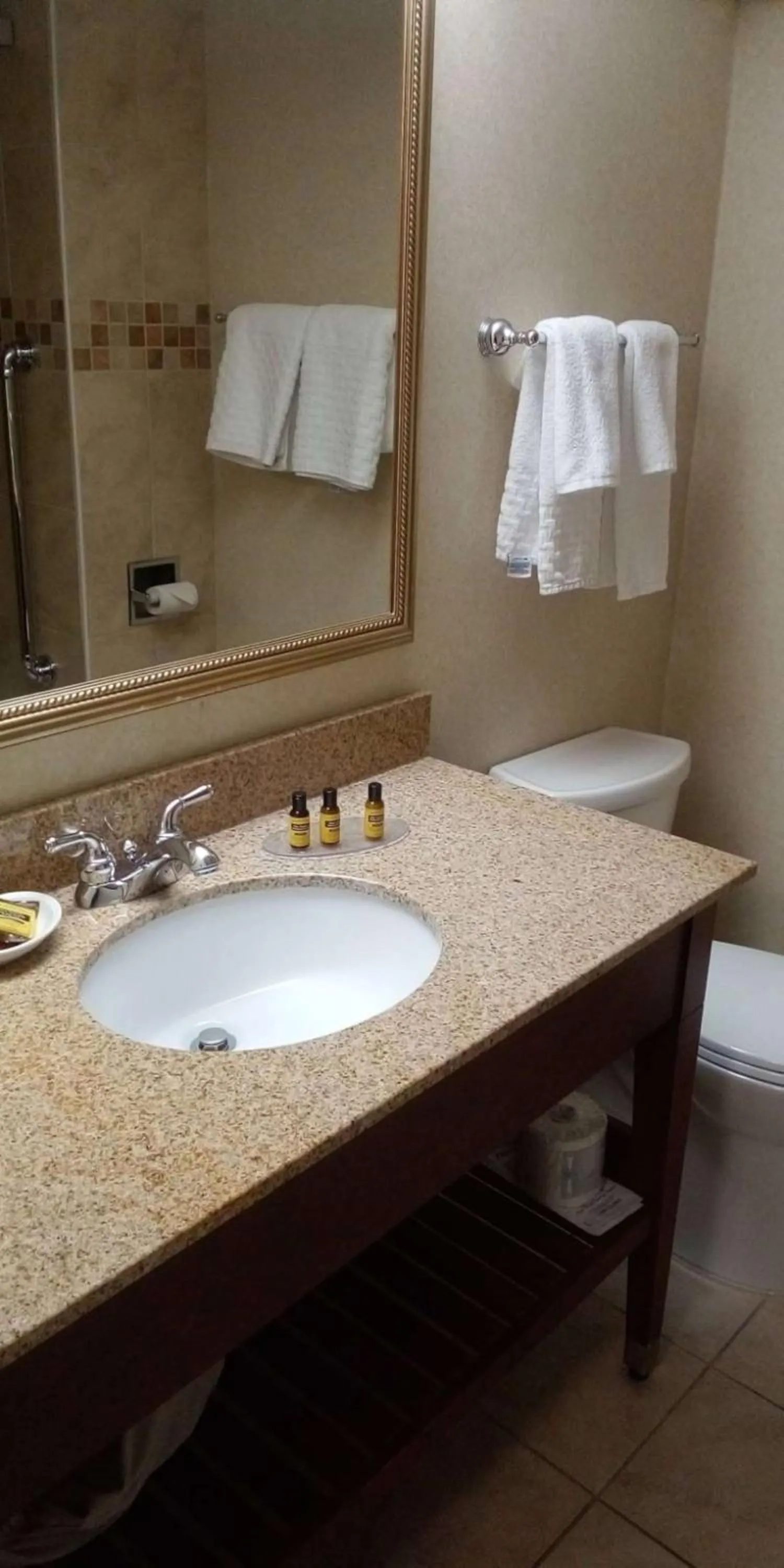 Bathroom in Best Western Plus Otonabee Inn