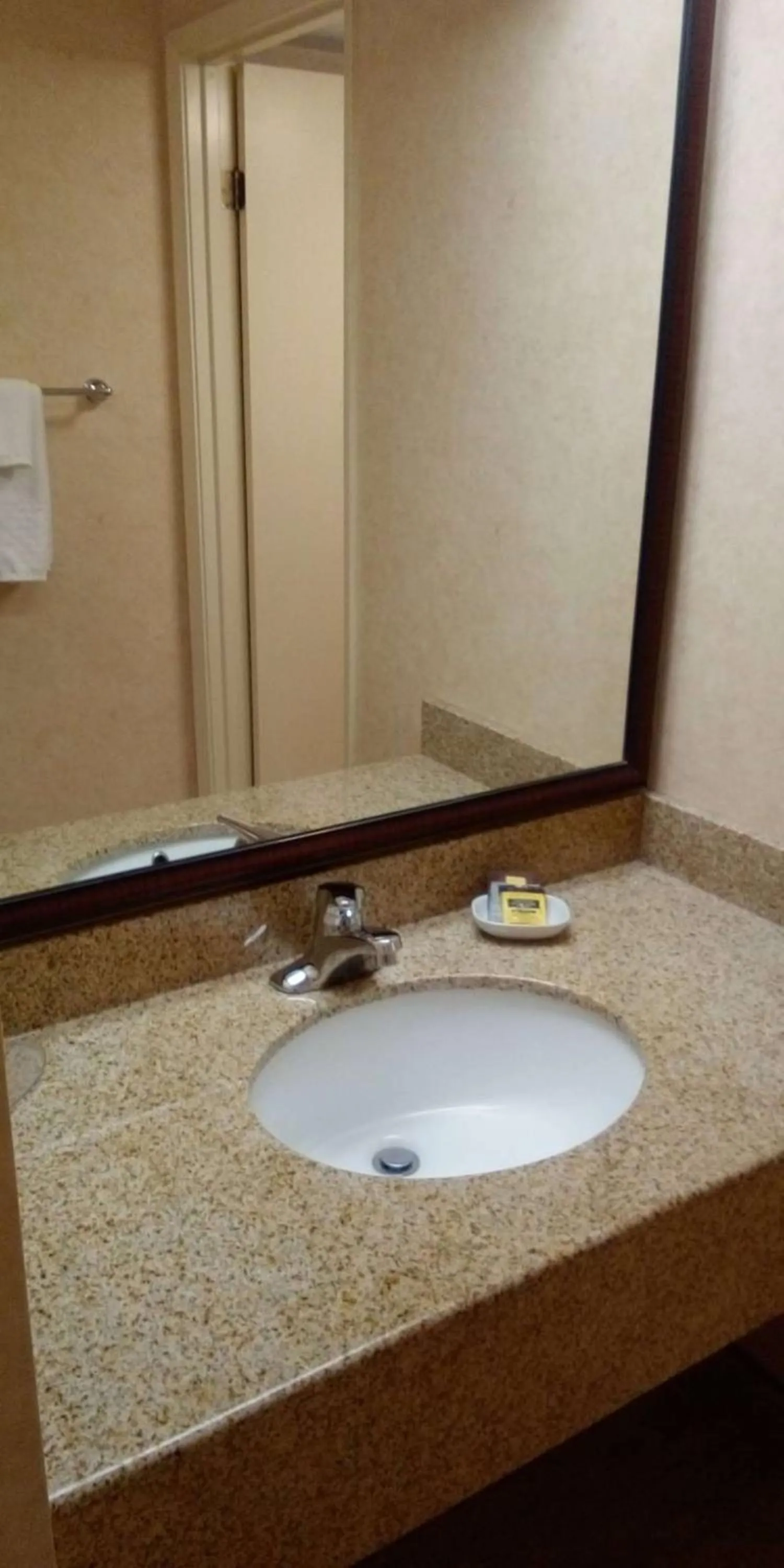 Bathroom in Best Western Plus Otonabee Inn