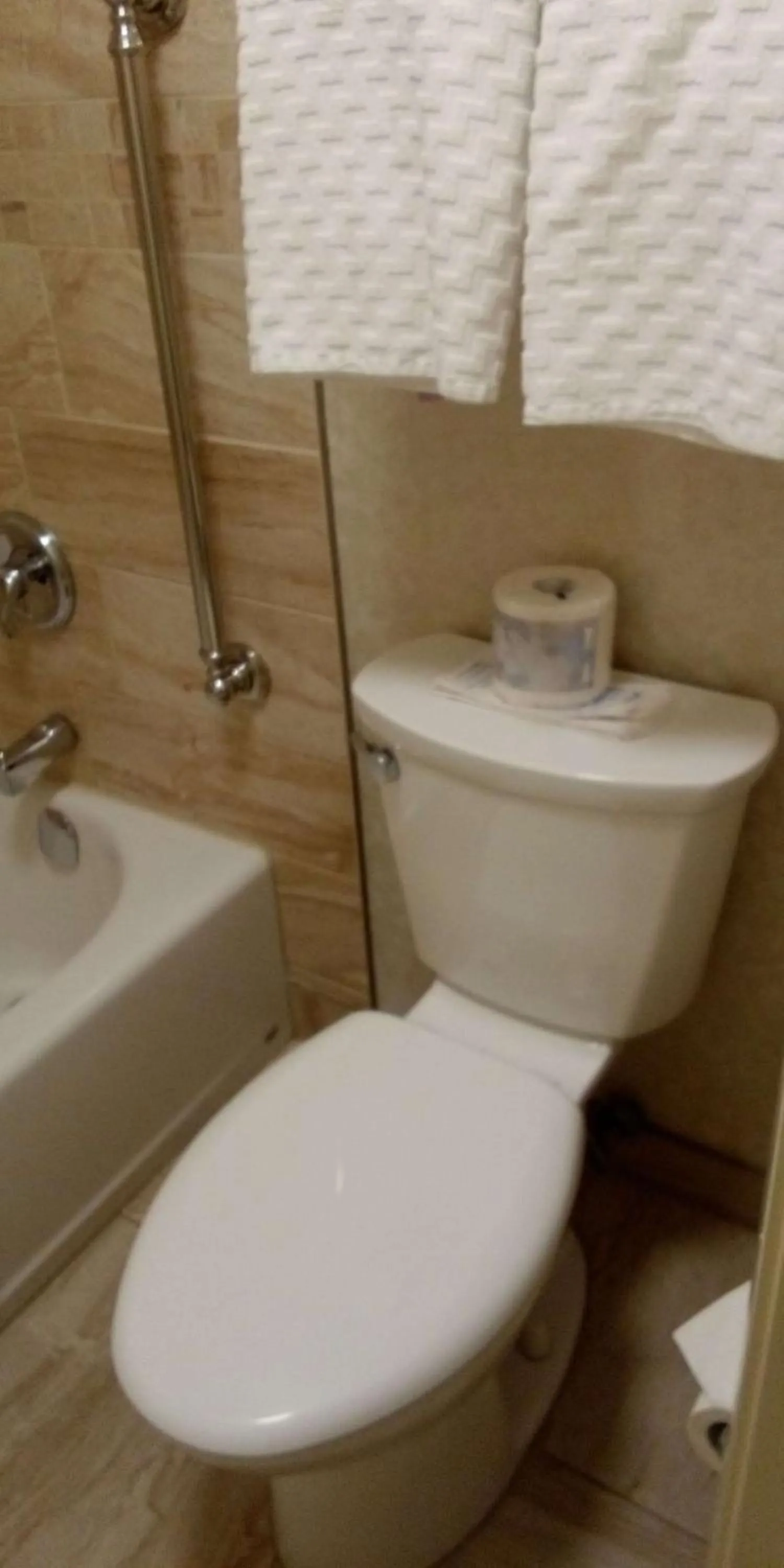 Bathroom in Best Western Plus Otonabee Inn