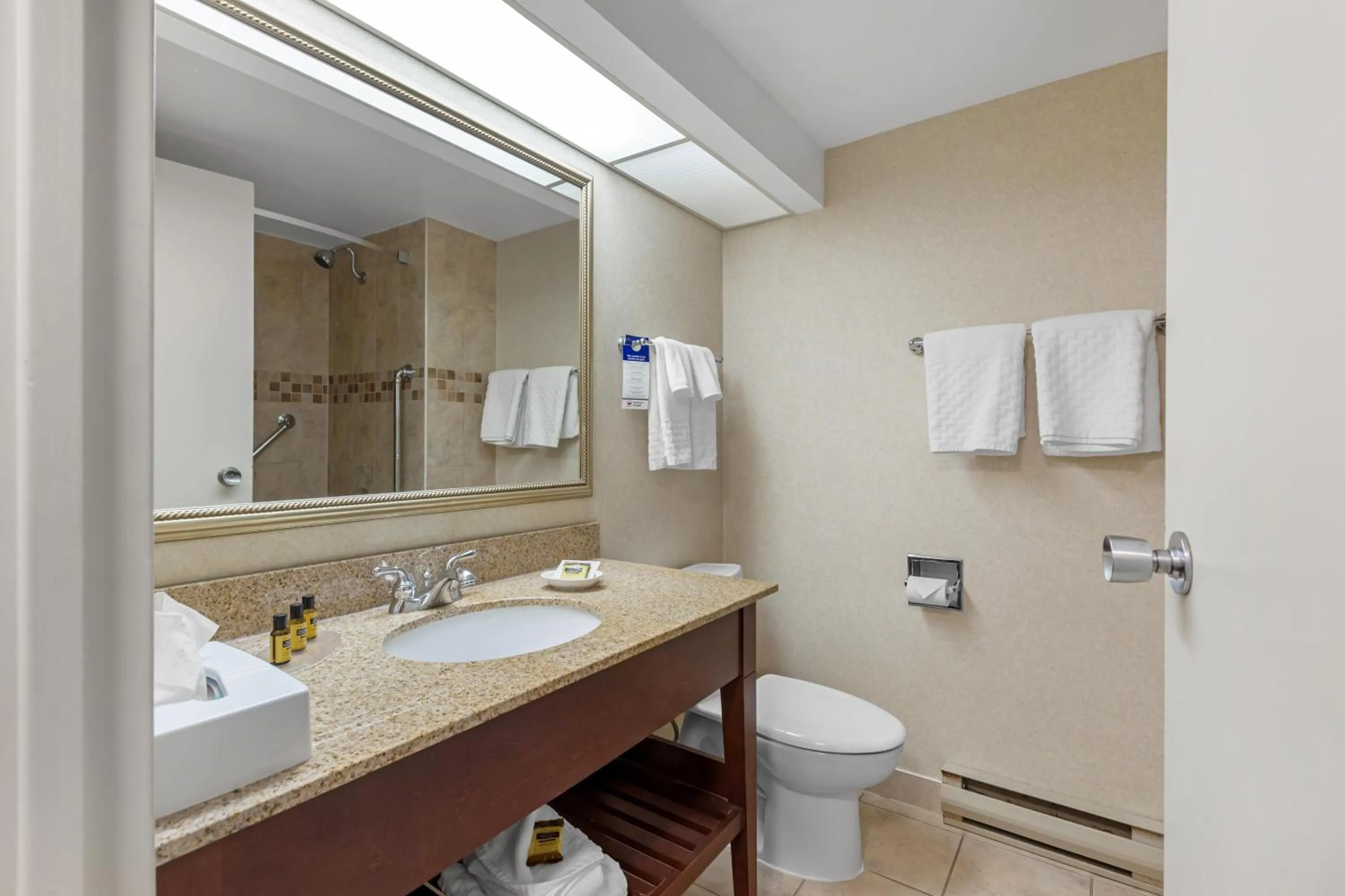 Bathroom in Best Western Plus Otonabee Inn