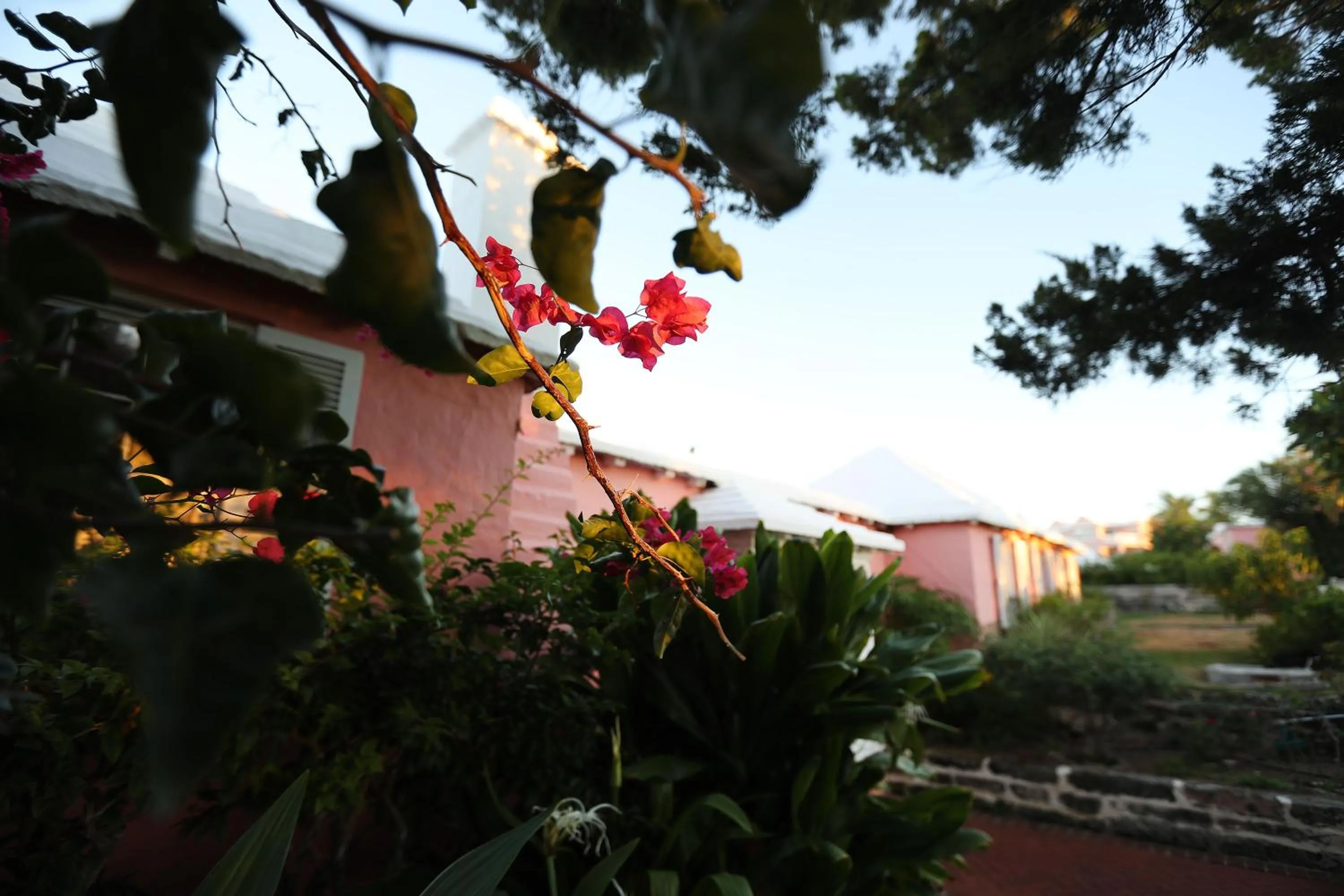 Decorative detail in Cambridge Beaches Resort and Spa
