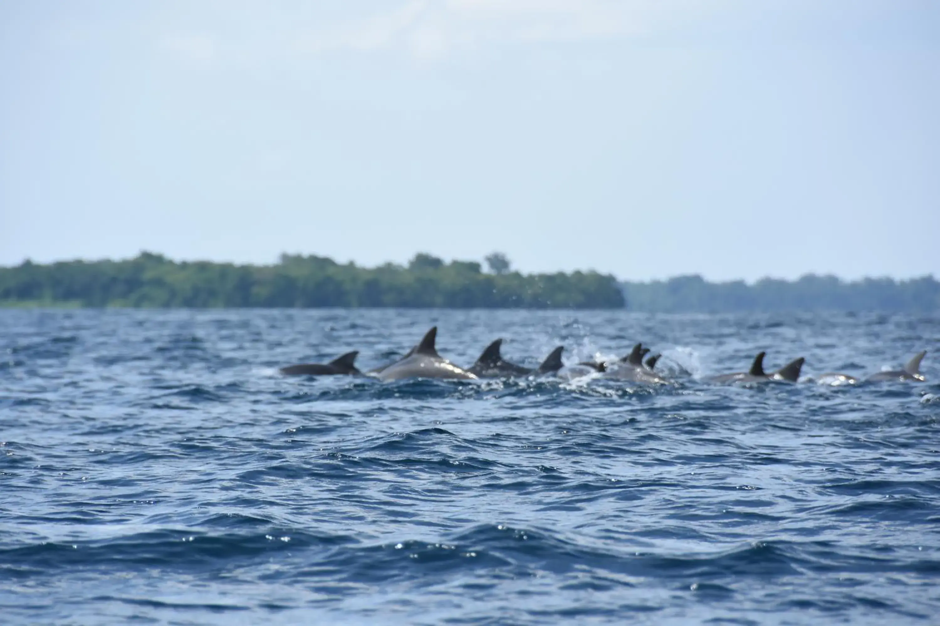 Ora Sunrise View Ora Sunrise View