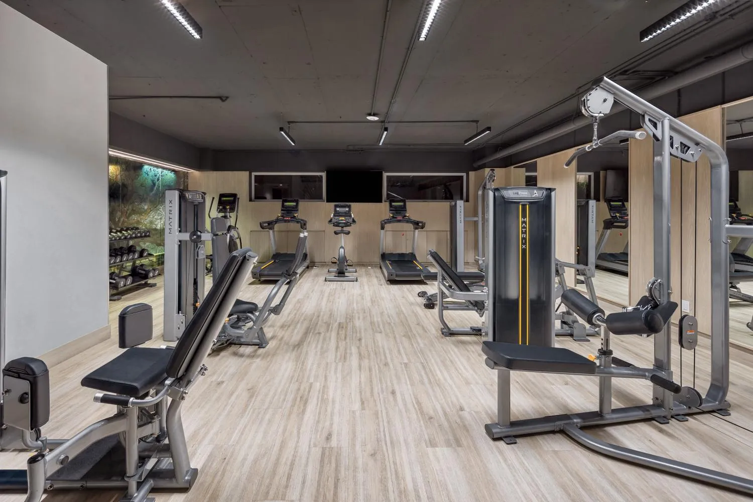 Fitness centre/facilities in Dominion Polanco